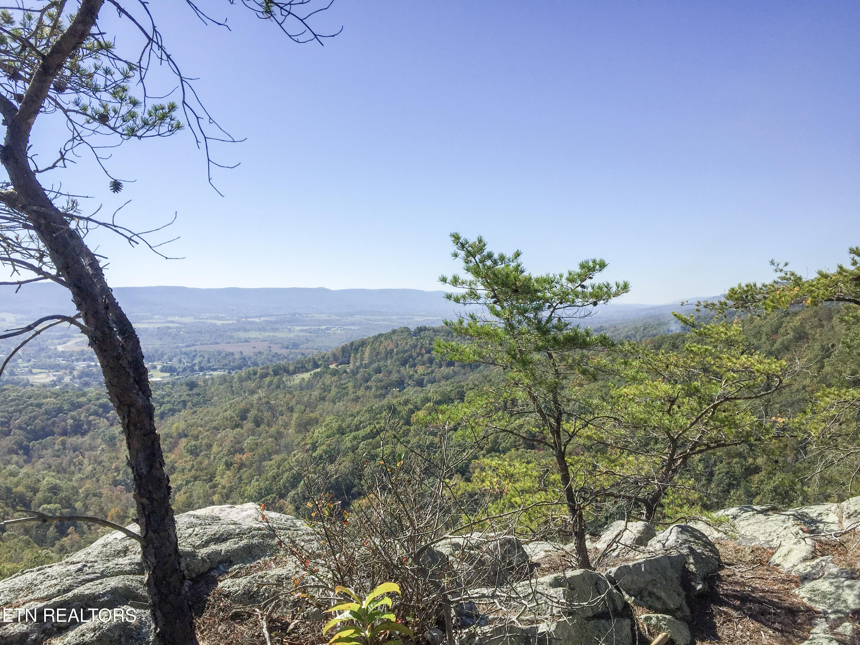 Old Spencer Road - 100 Acres Pikeville TN 37367