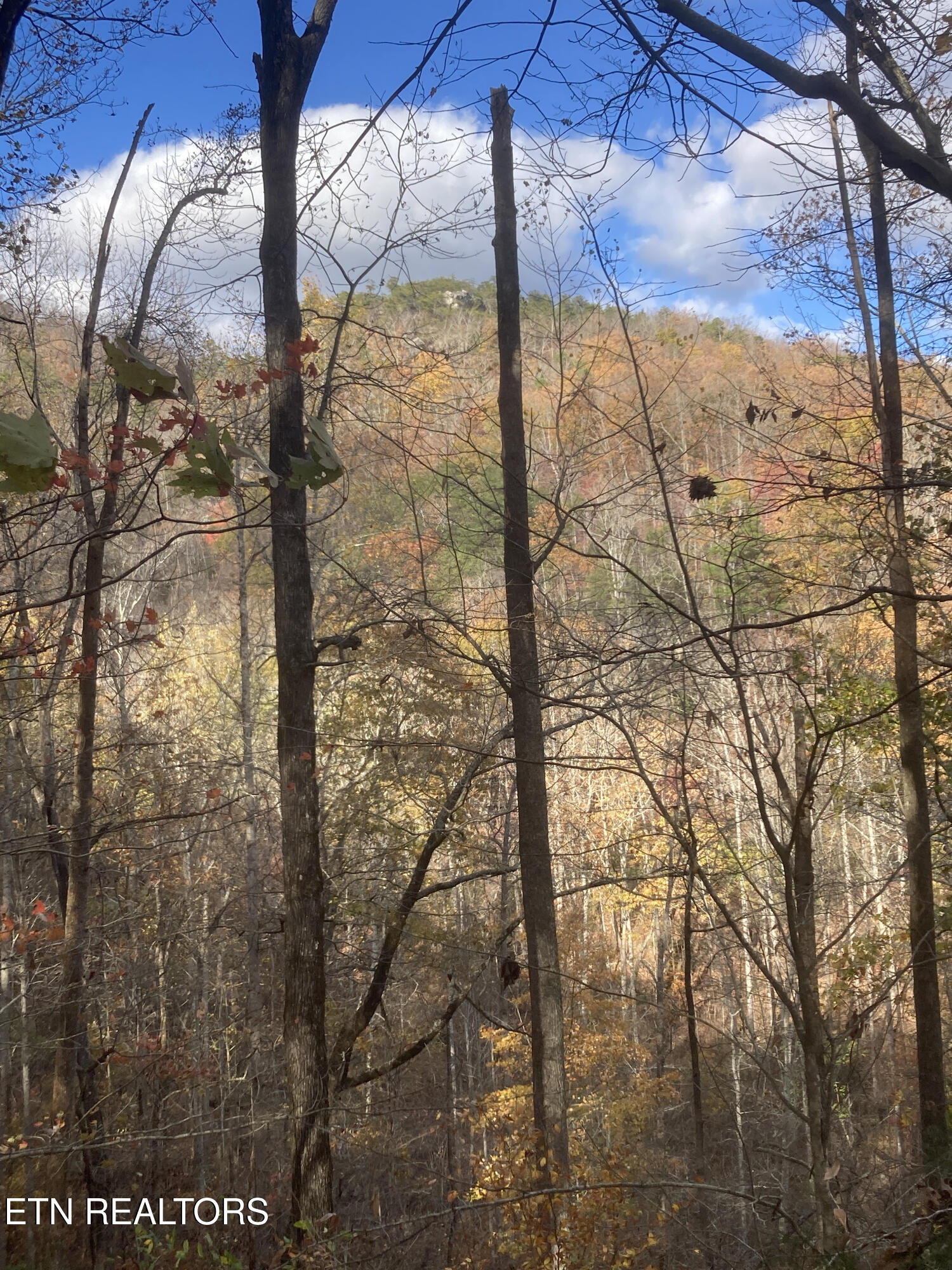 Old Spencer Road - 100 Acres Pikeville TN 37367