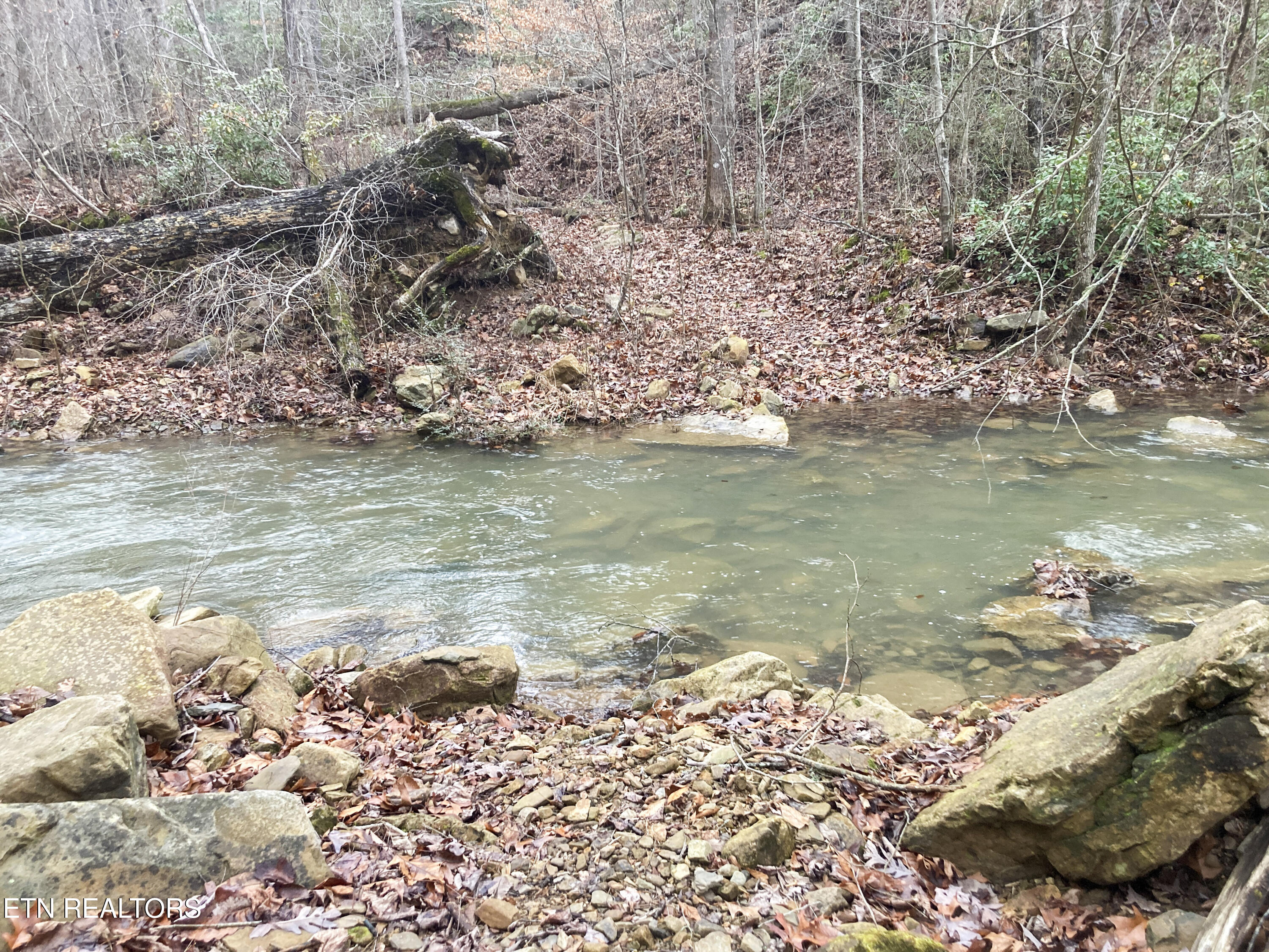 Old Spencer Road - 100 Acres Pikeville TN 37367