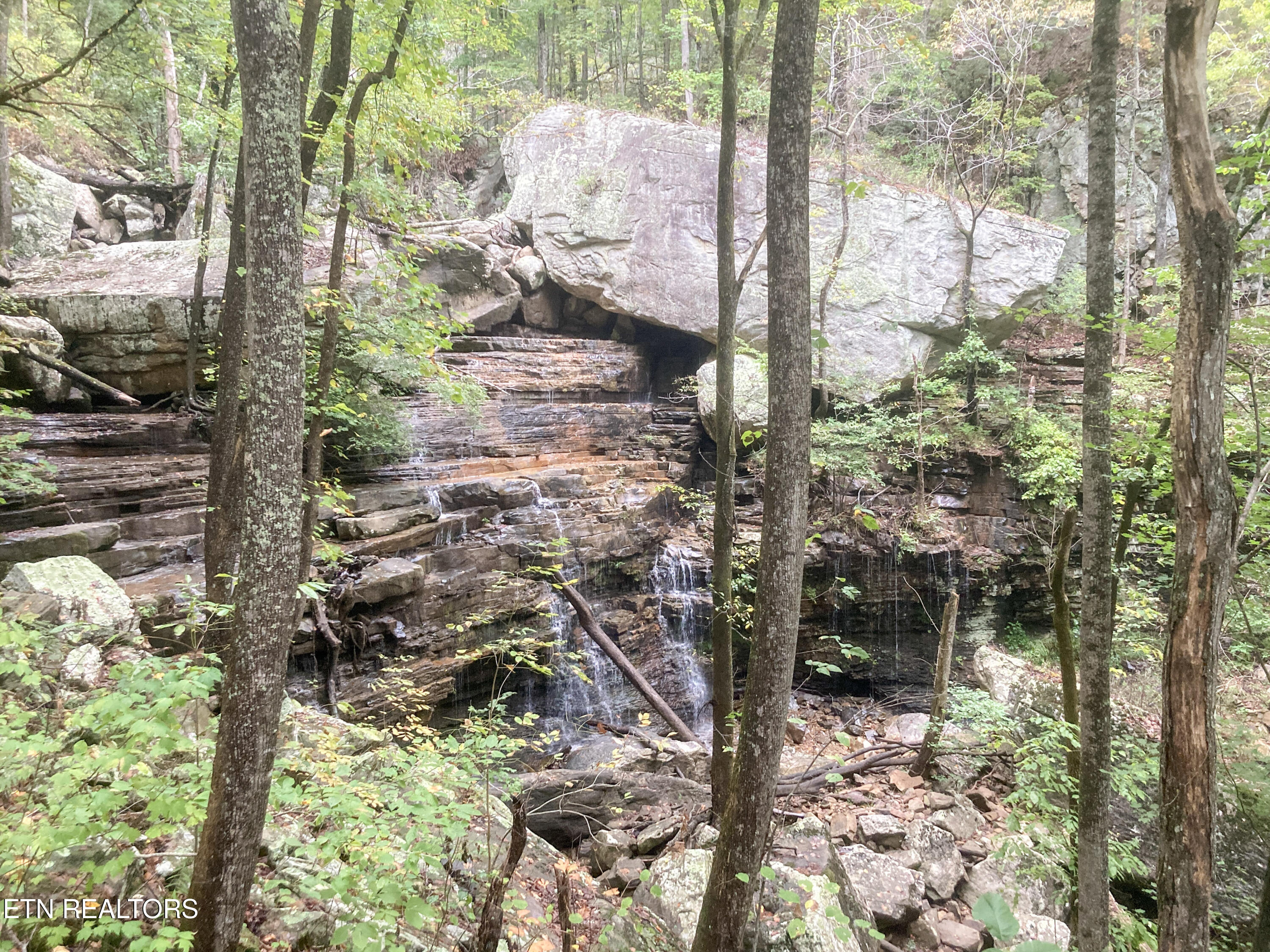 Old Spencer Road - 100 Acres Pikeville TN 37367