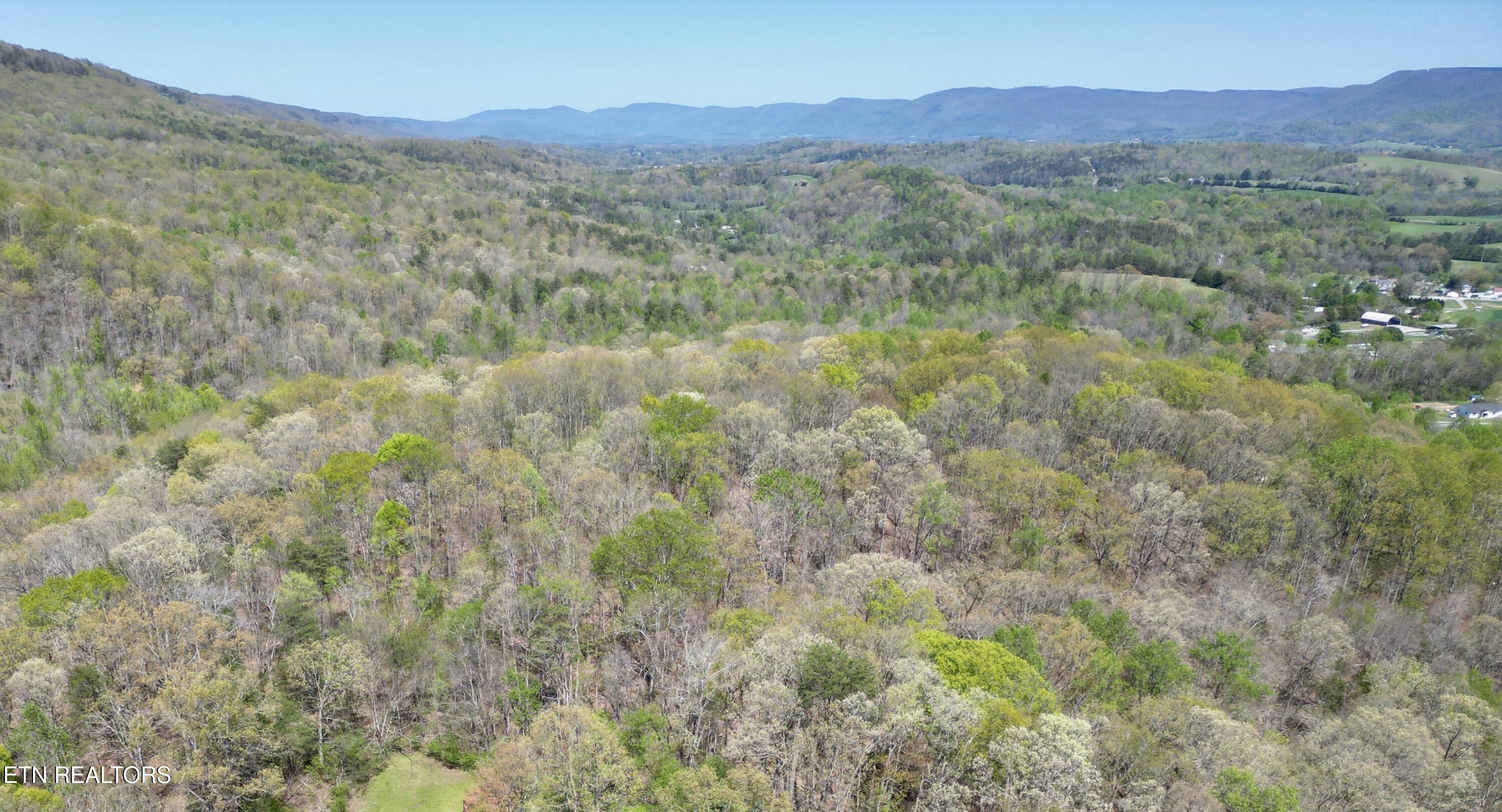 Old Spencer Road - 100 Acres Pikeville TN 37367