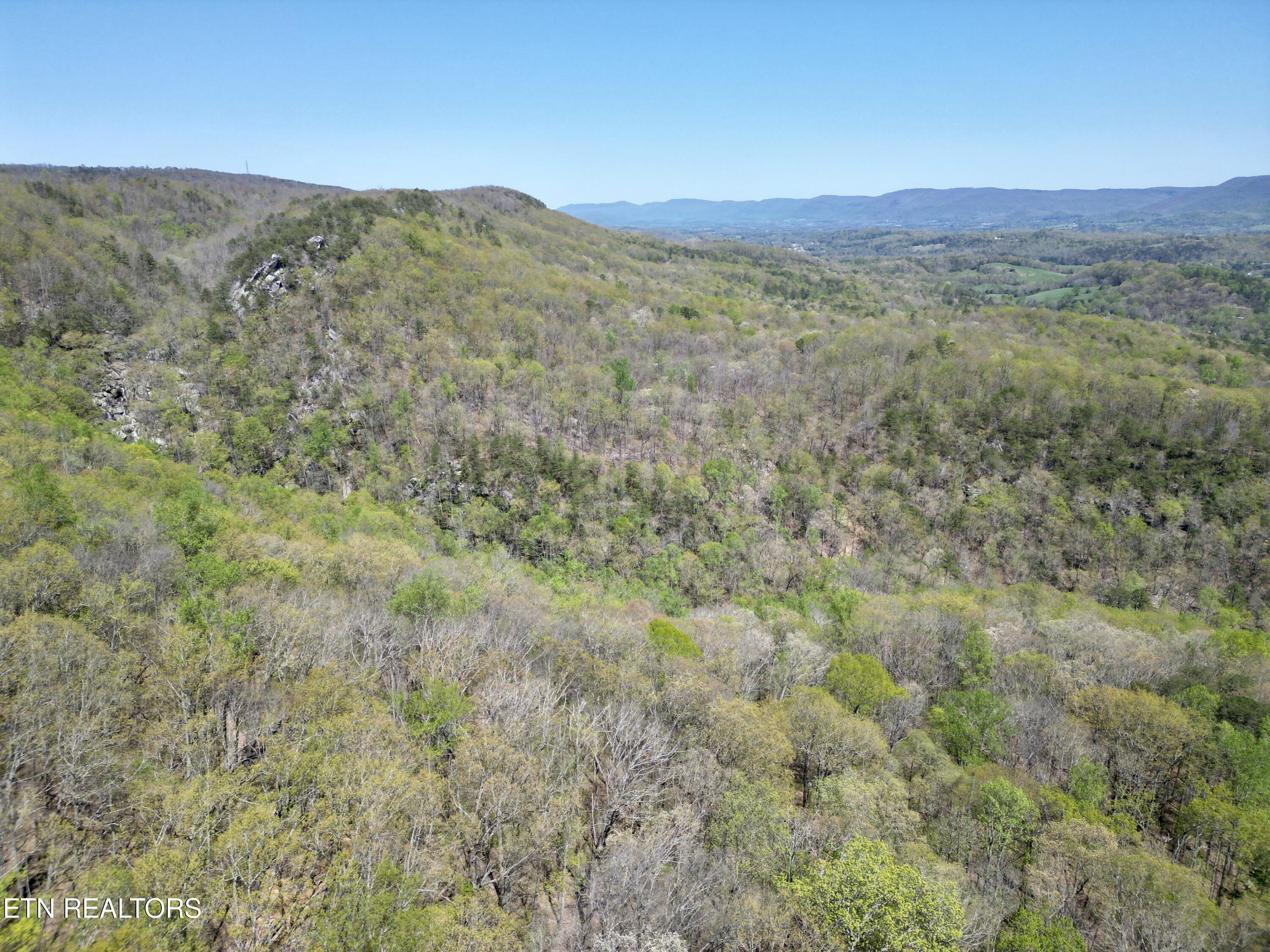 Old Spencer Road - 100 Acres Pikeville TN 37367