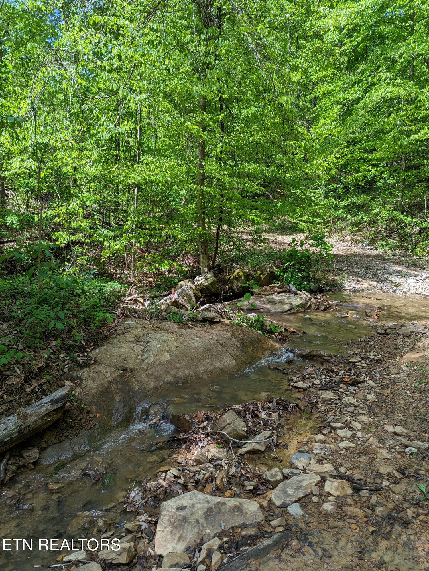 Cherokee Path Jamestown TN 38556