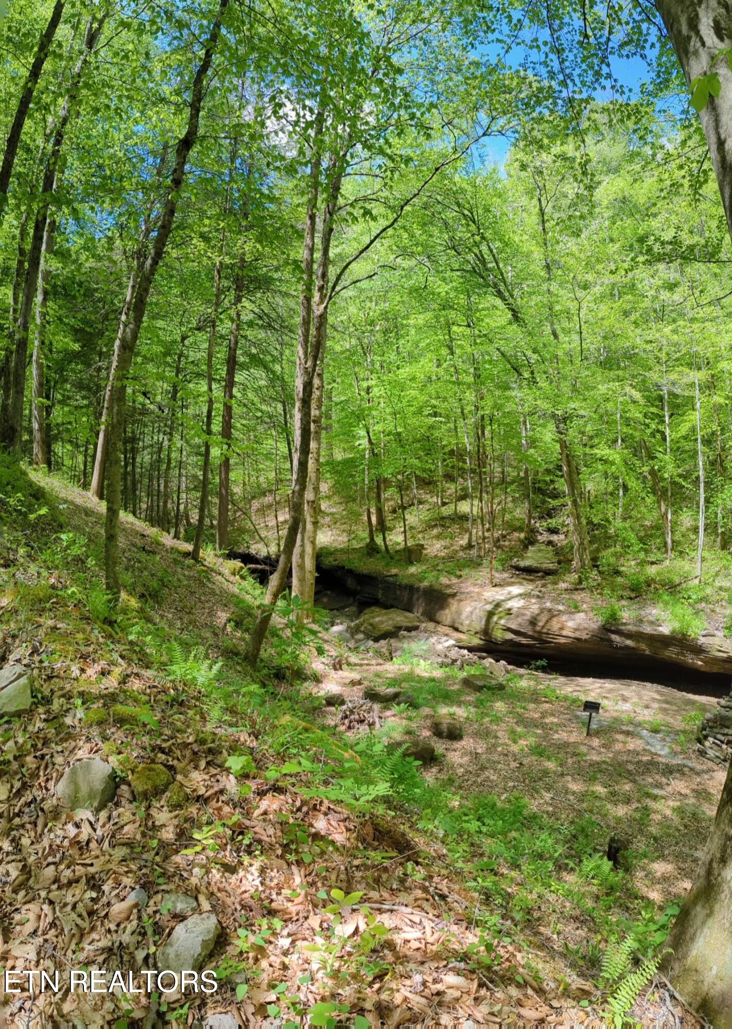 Cherokee Path Jamestown TN 38556