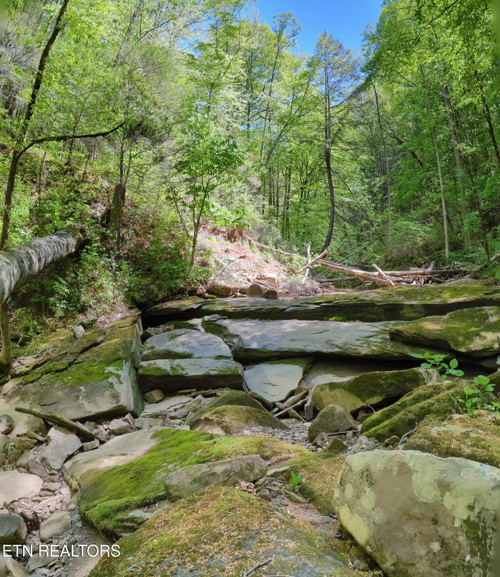 Cherokee Path Jamestown TN 38556