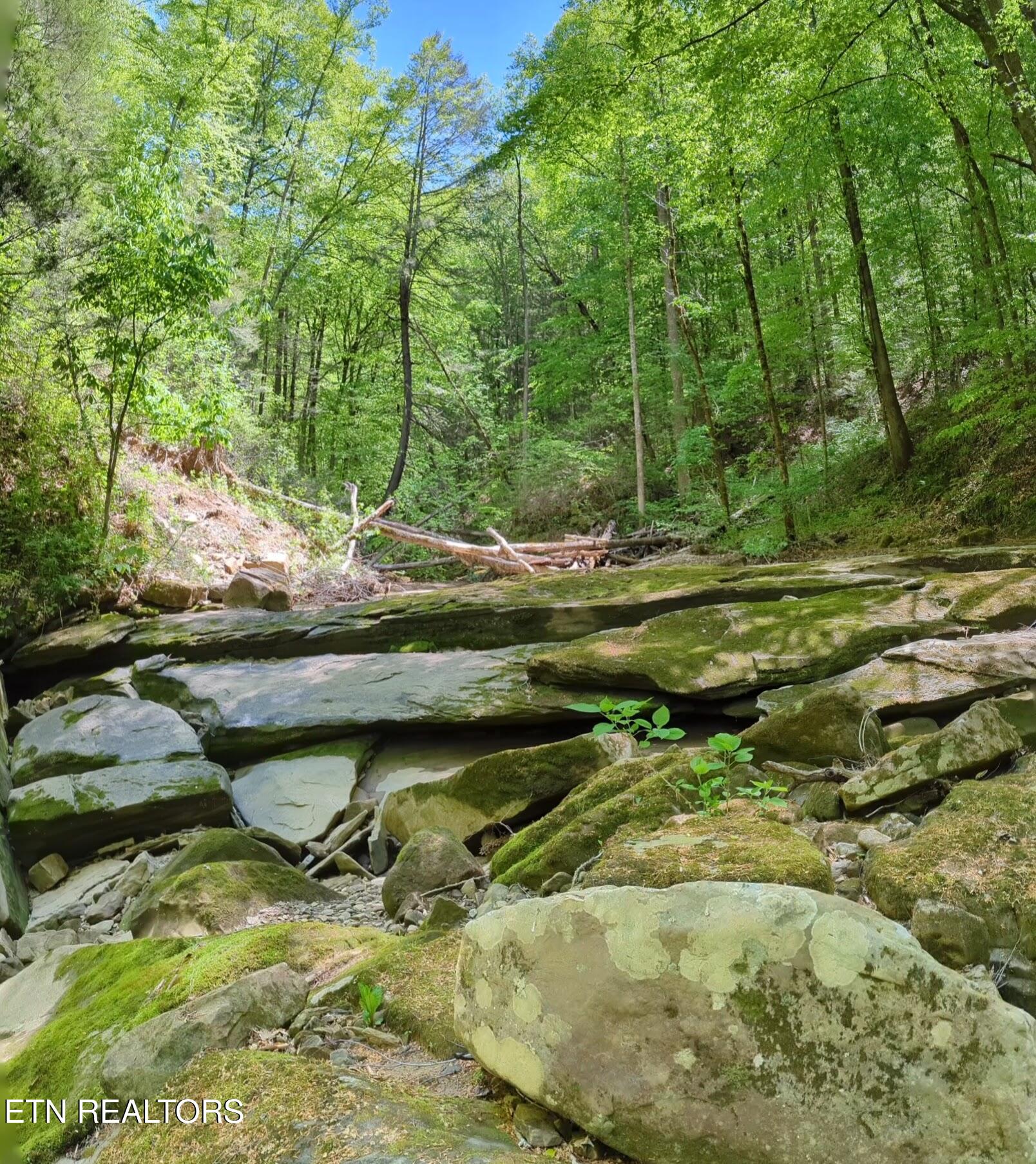 Cherokee Path Jamestown TN 38556