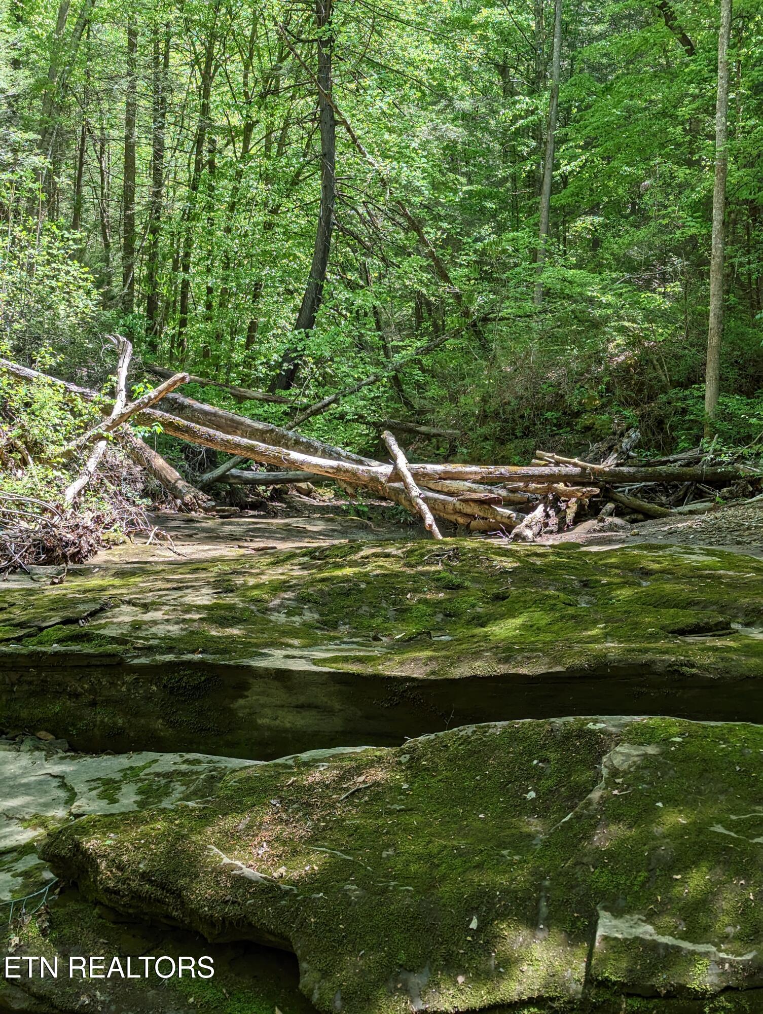 Cherokee Path Jamestown TN 38556