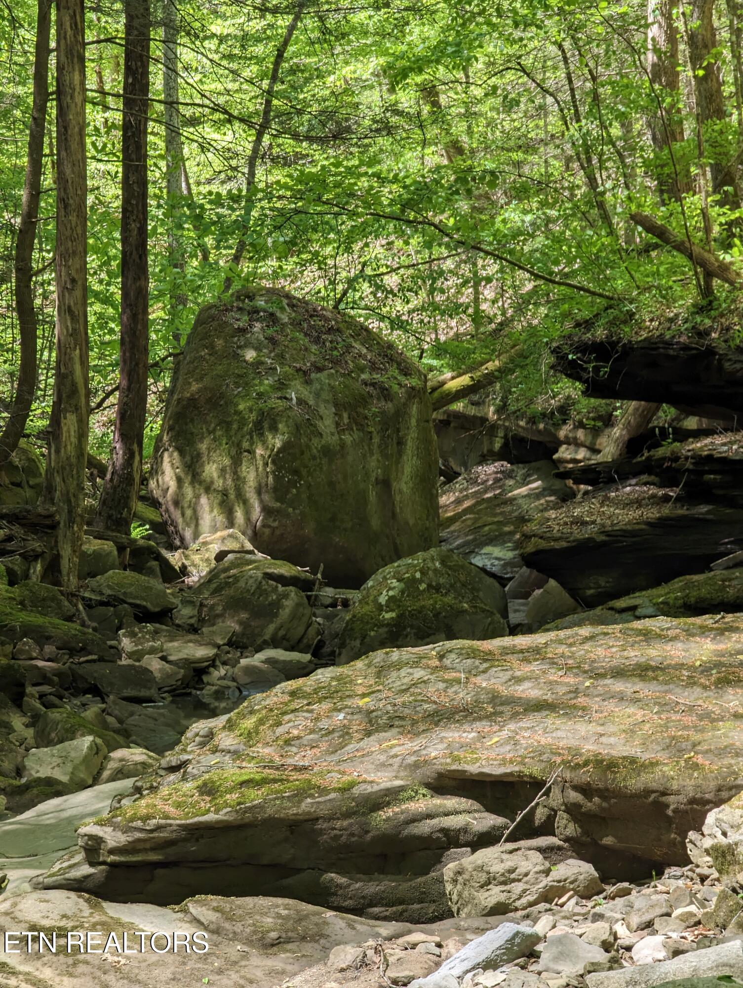 Cherokee Path Jamestown TN 38556