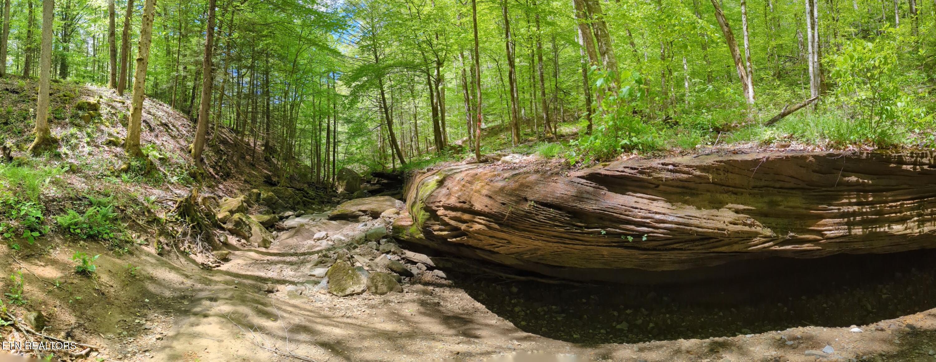 Cherokee Path Jamestown TN 38556