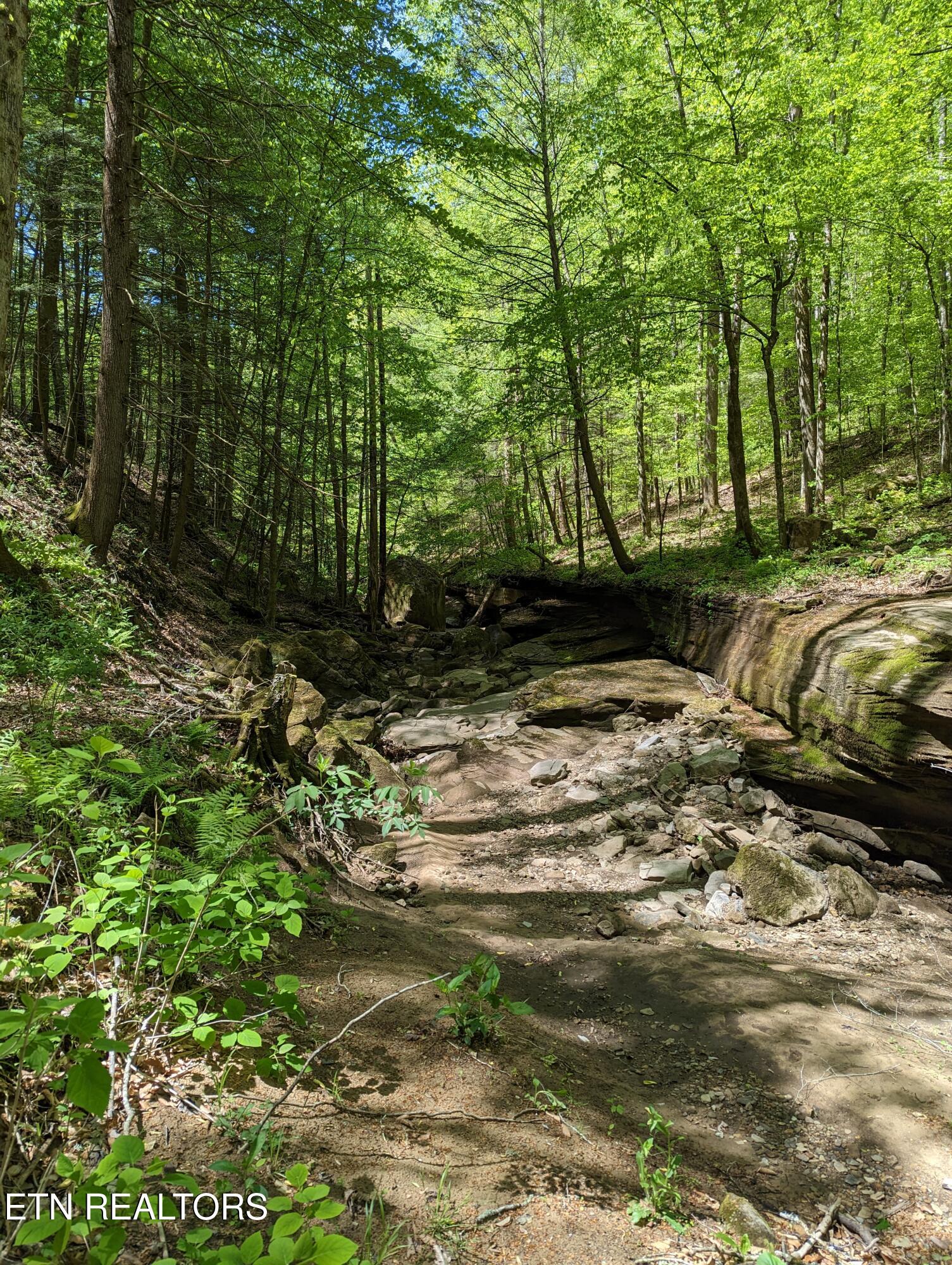 Cherokee Path Jamestown TN 38556
