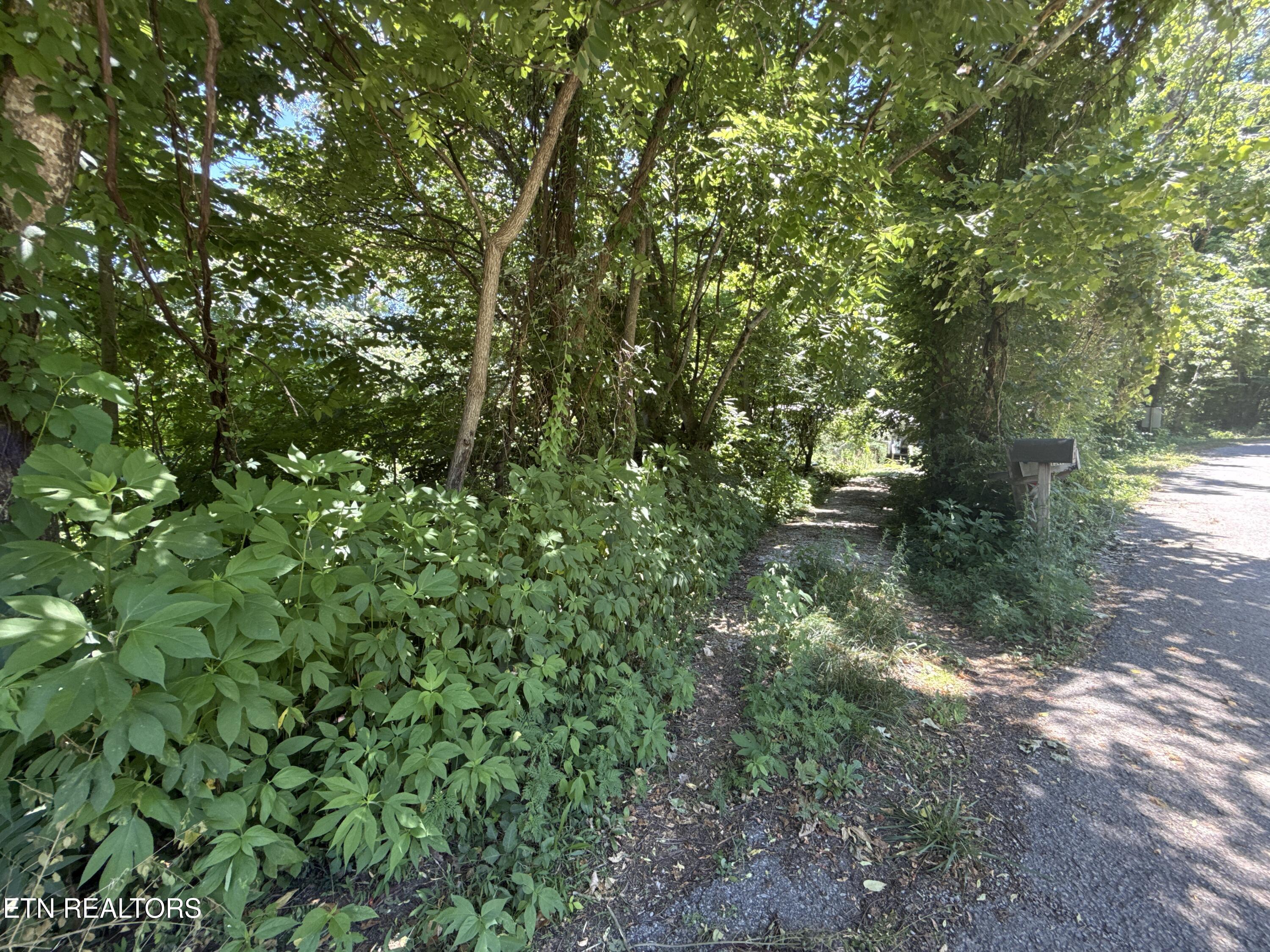 1347 Sharp Lane Caryville TN 37714