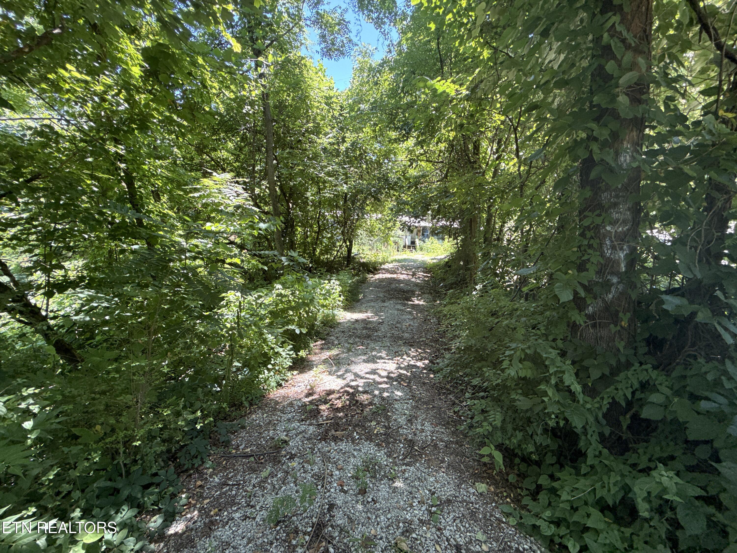 1347 Sharp Lane Caryville TN 37714