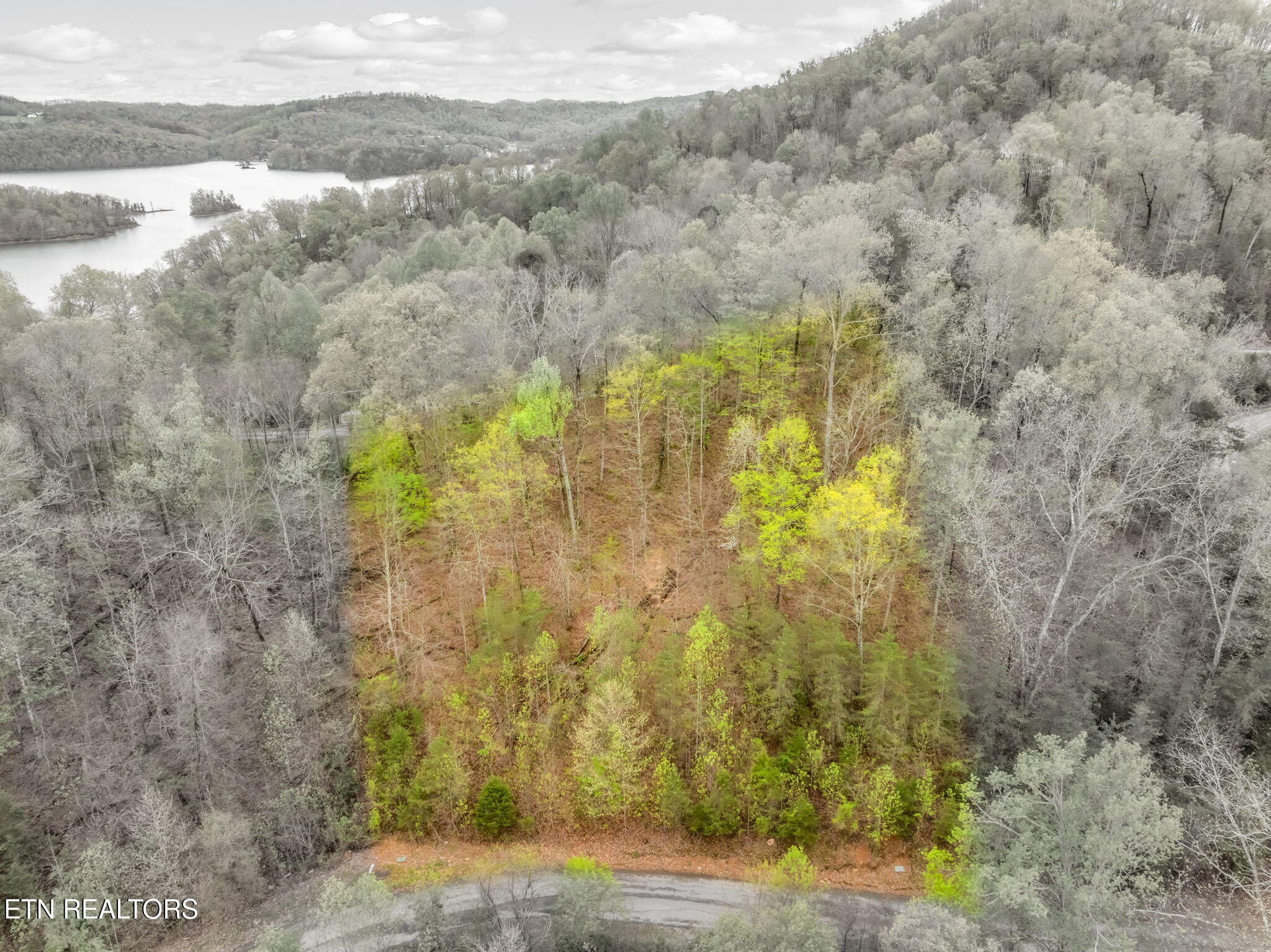 Lot 736 Russell Brothers Road Sharps Chapel TN 37866