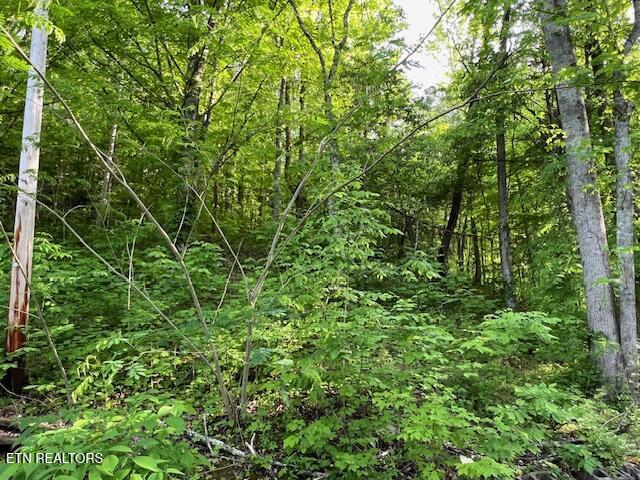 S Rogers South Road Seymour TN 37865