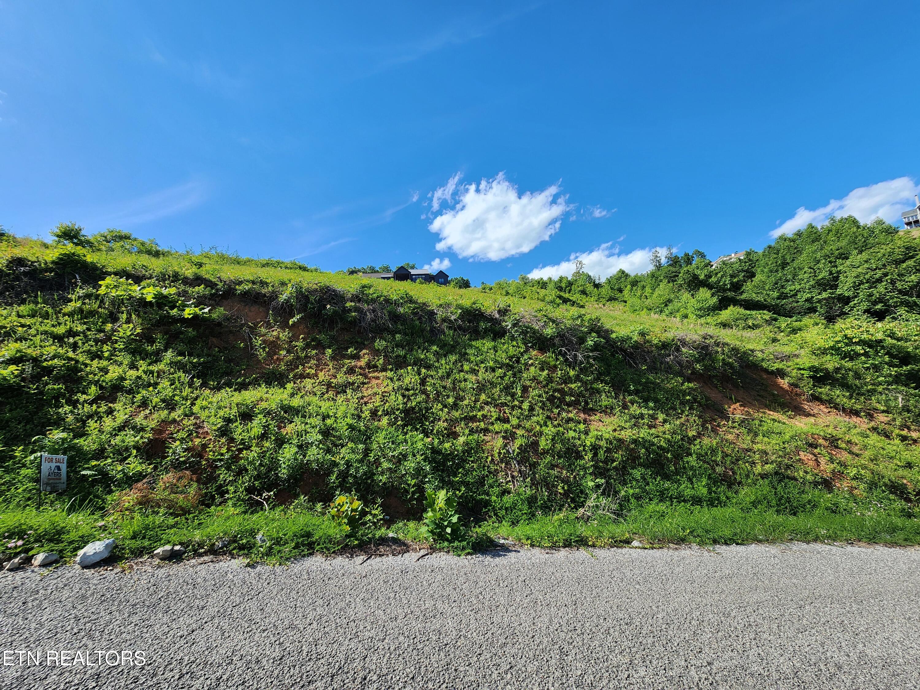 Cameron Loop Lane Lafollette TN 37766