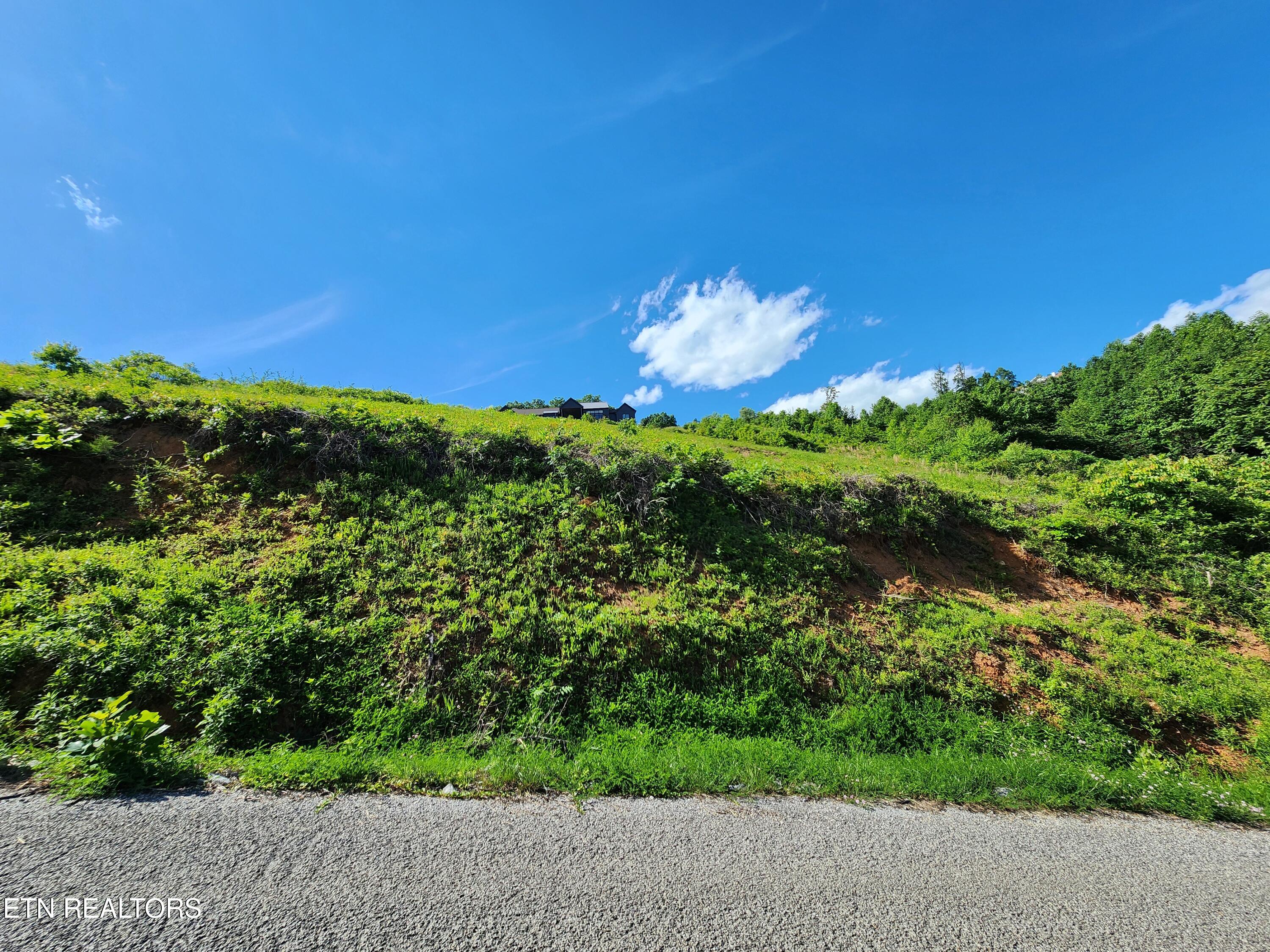 Cameron Loop Lane Lafollette TN 37766