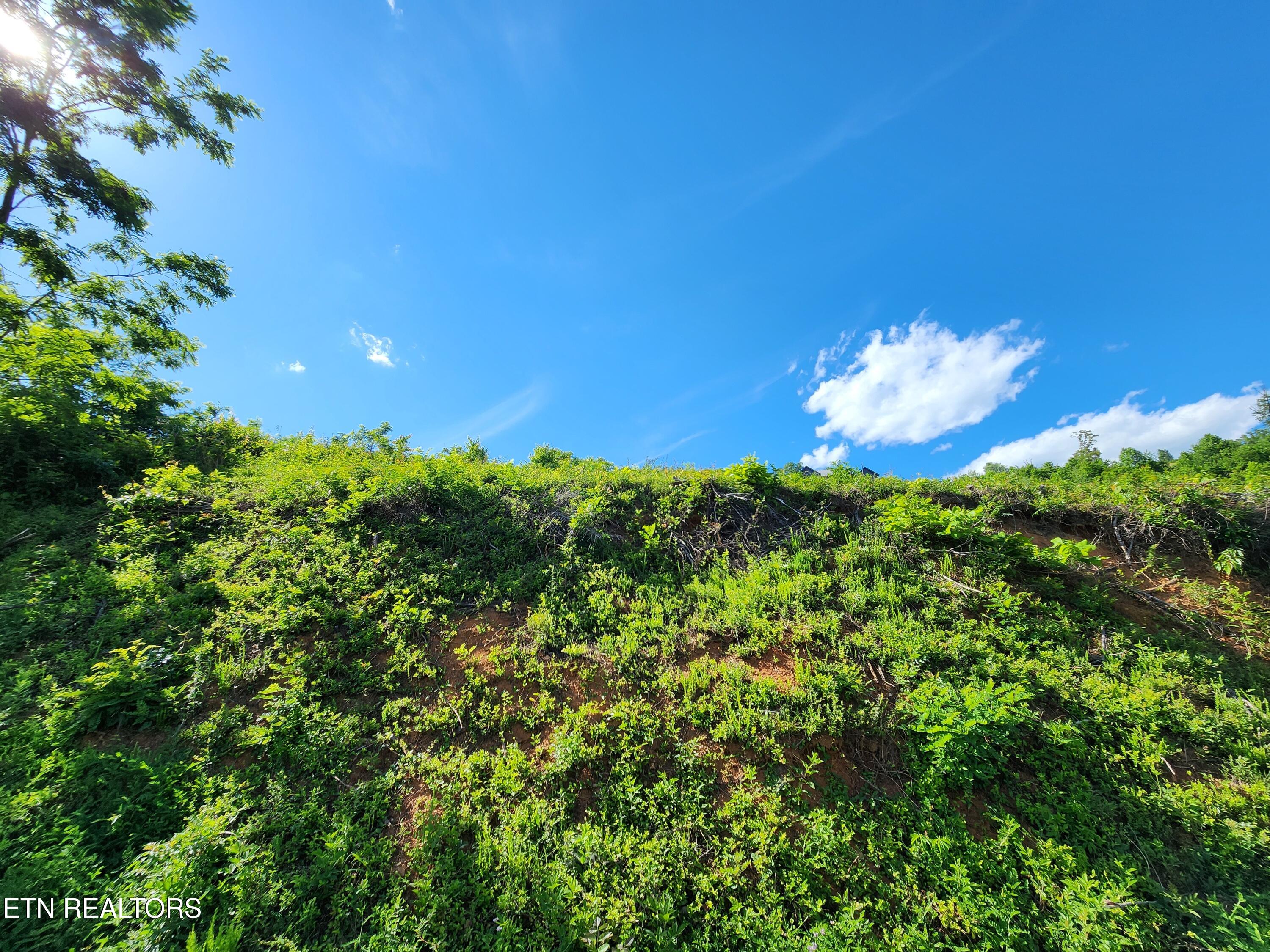 Cameron Loop Lane Lafollette TN 37766