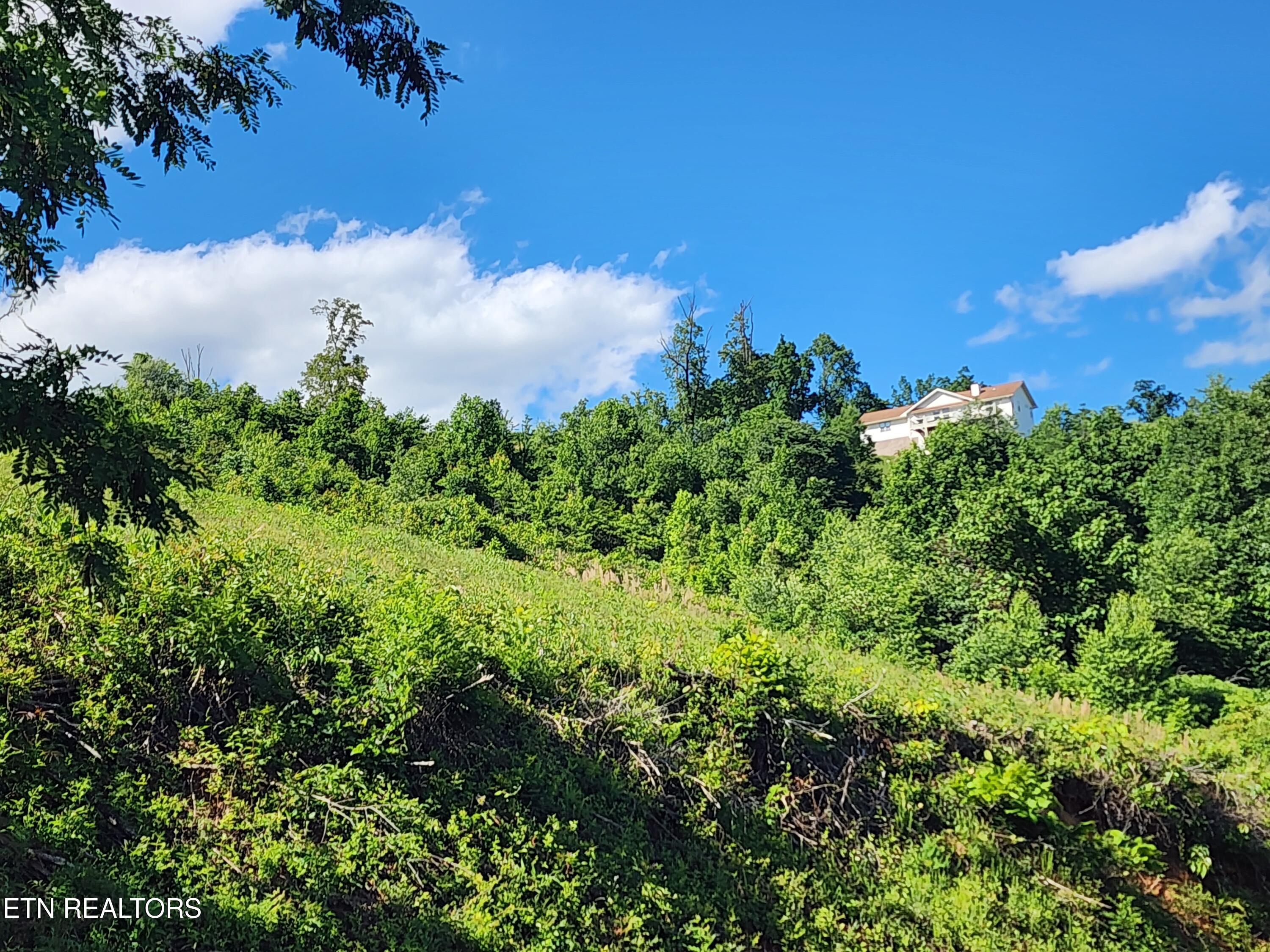 Cameron Loop Lane Lafollette TN 37766