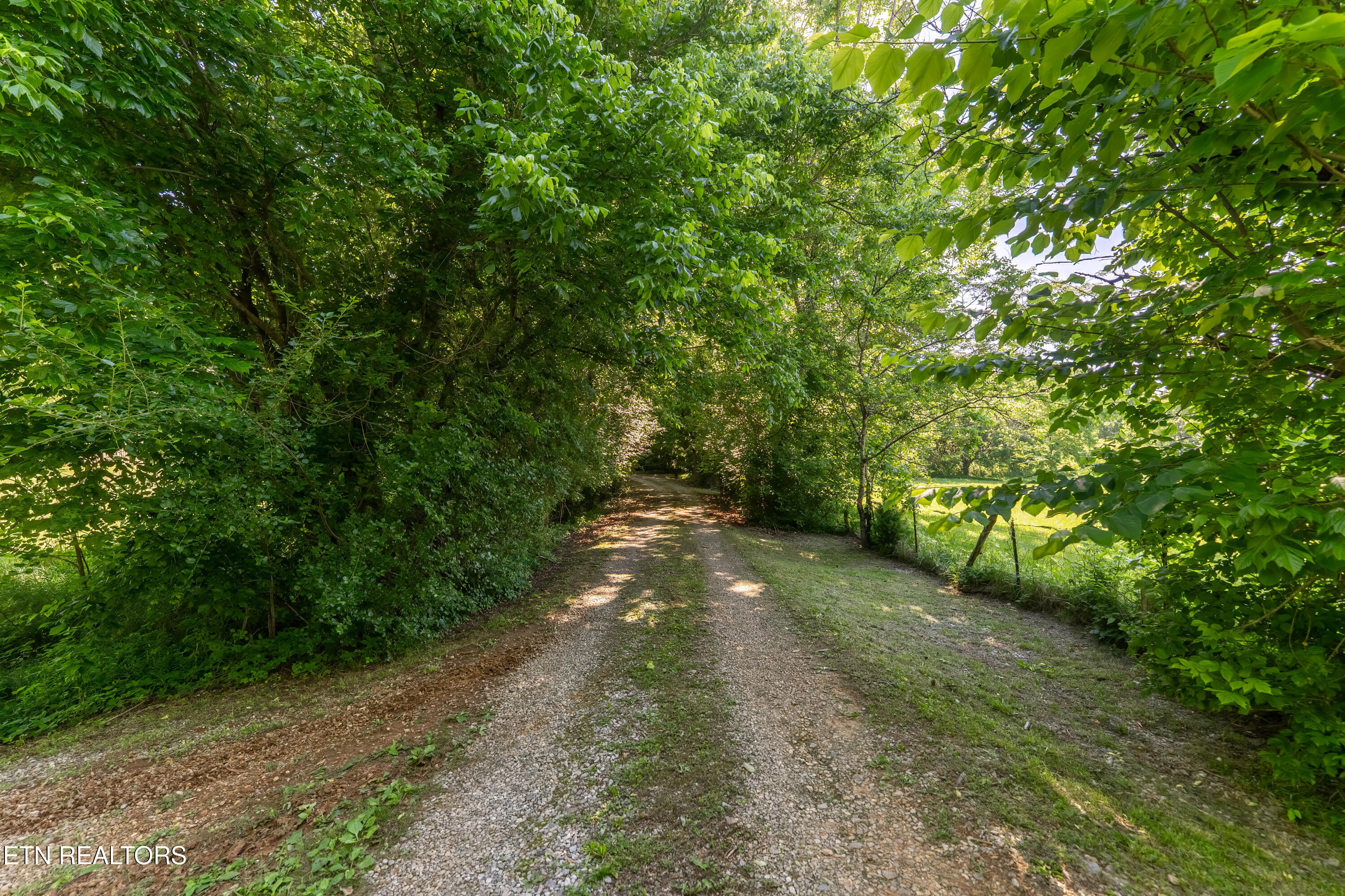 1921 Sockless Road Dandridge TN 37725