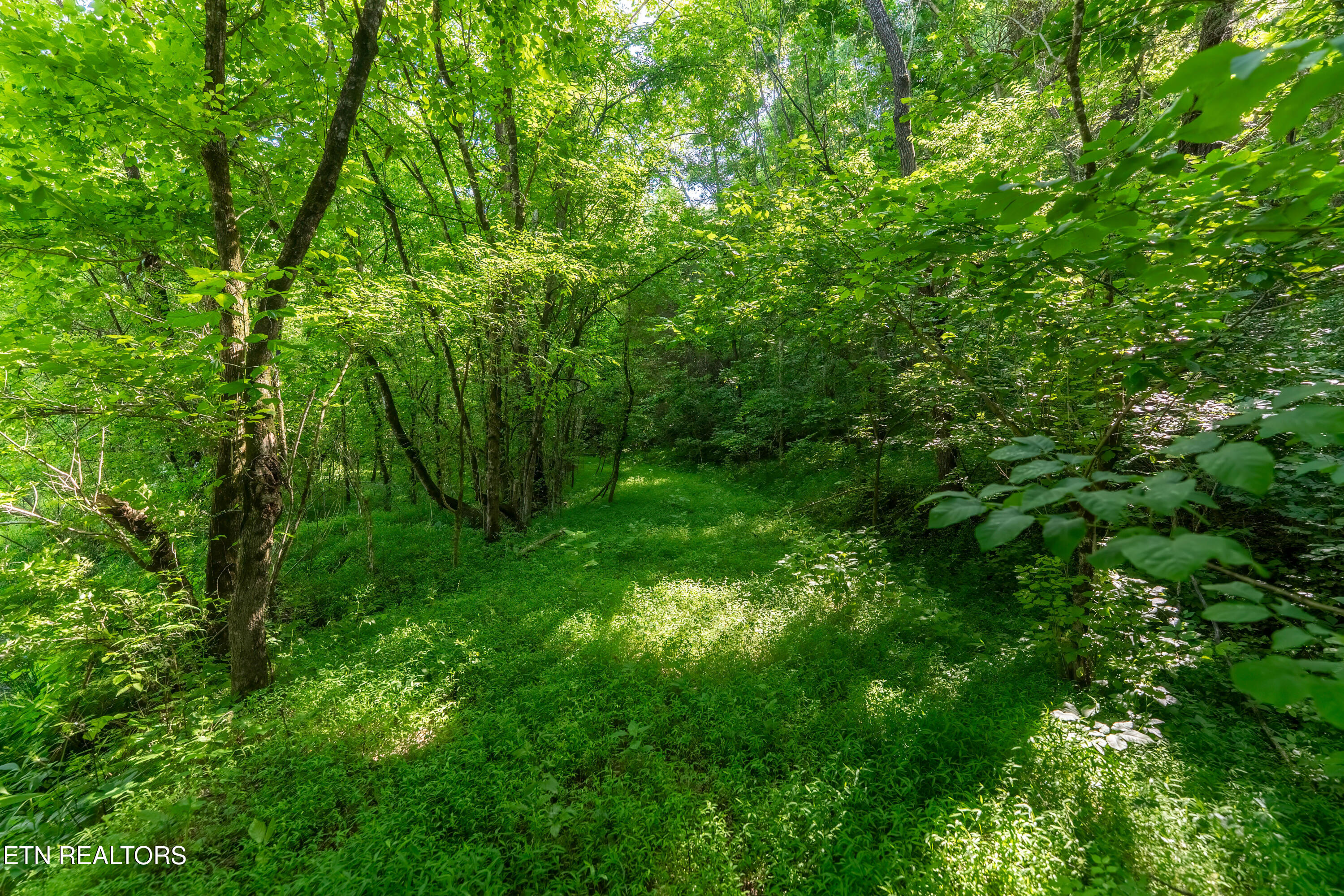 1921 Sockless Road Dandridge TN 37725