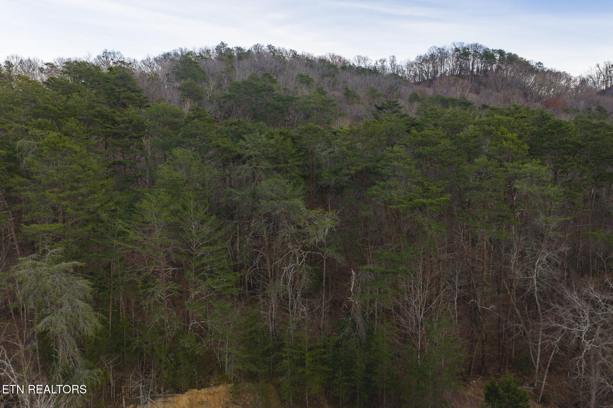 1655 Lester Whitt Road Rutledge TN 37861