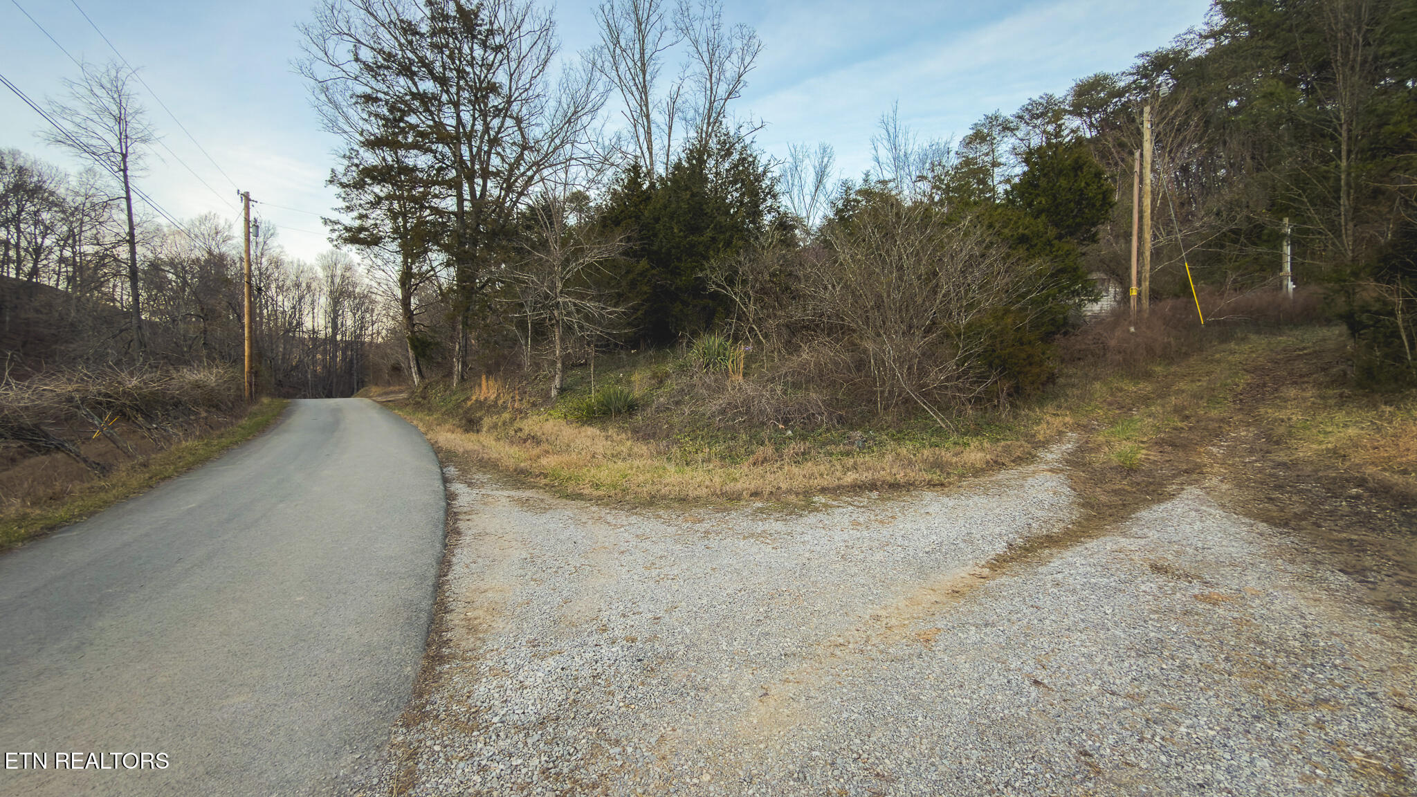 1655 Lester Whitt Road Rutledge TN 37861