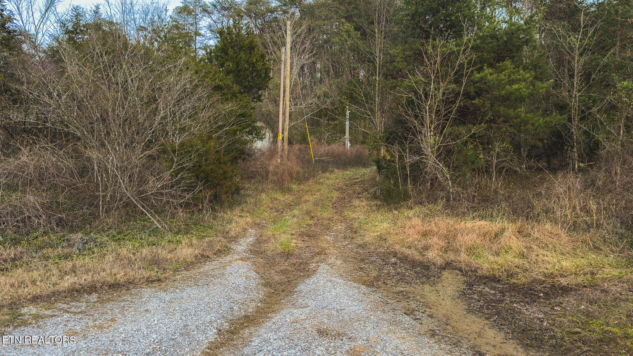 1655 Lester Whitt Road Rutledge TN 37861