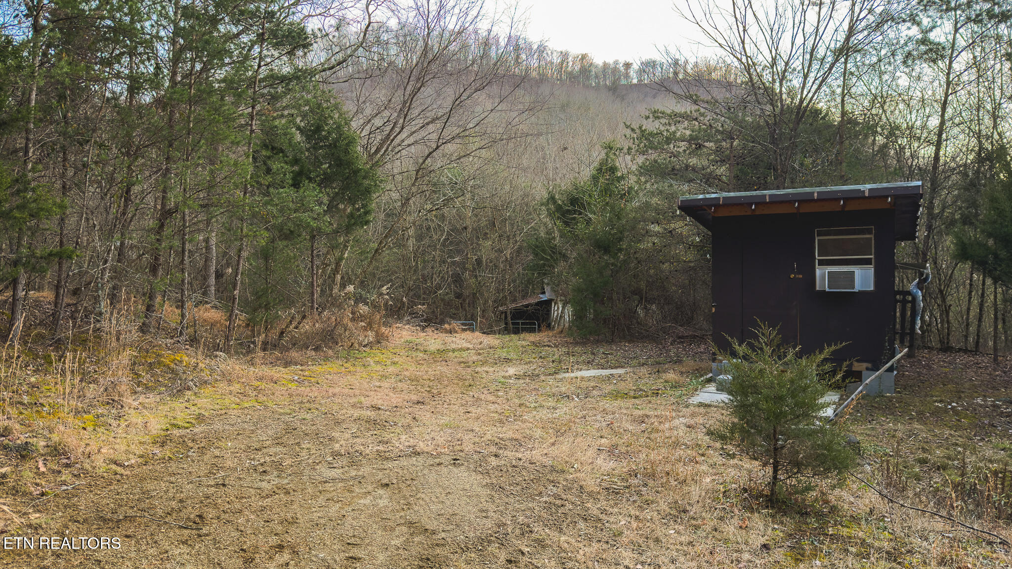 1655 Lester Whitt Road Rutledge TN 37861
