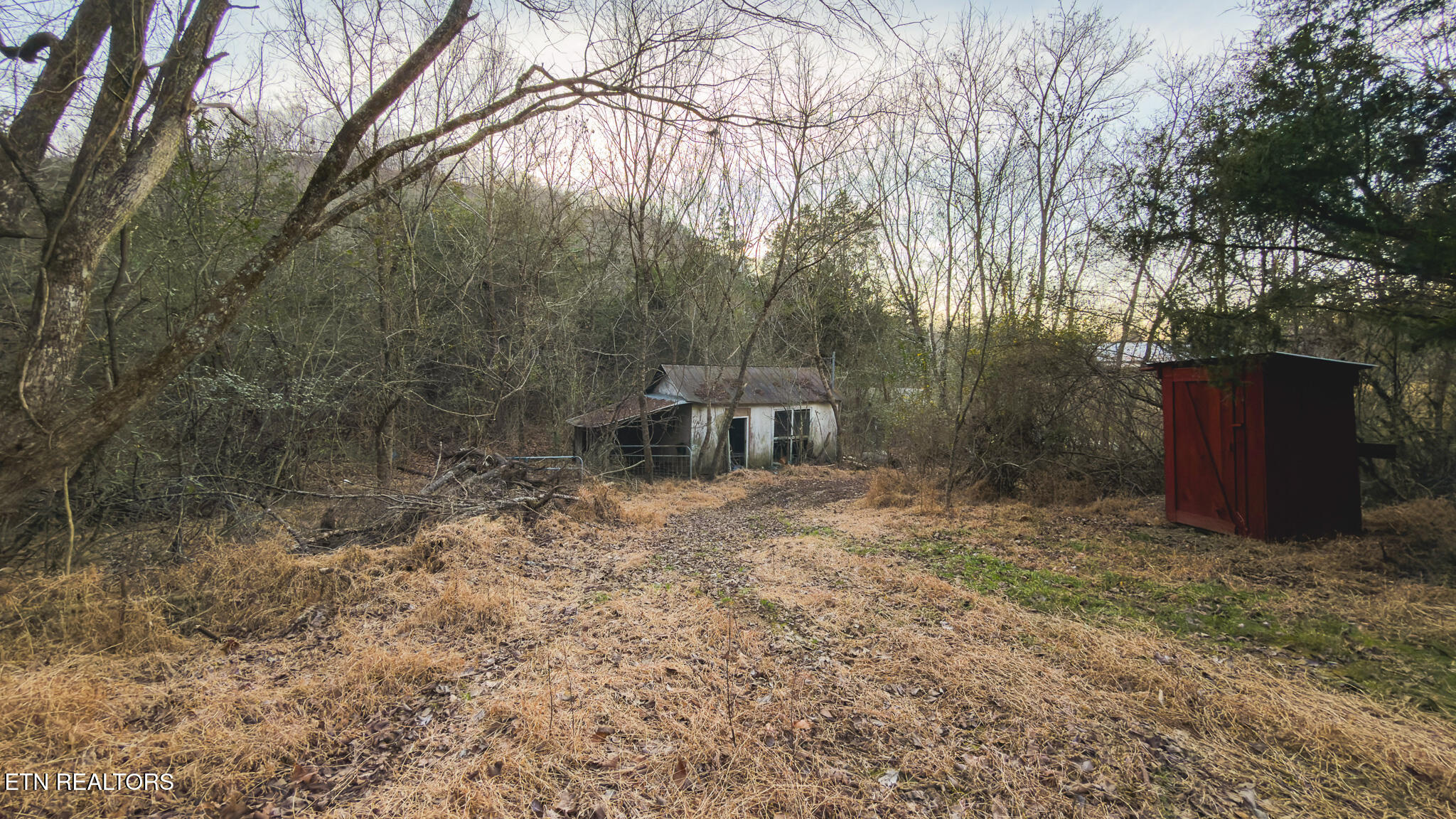 1655 Lester Whitt Road Rutledge TN 37861