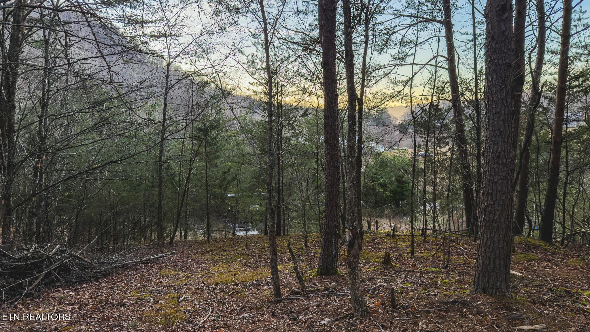 1655 Lester Whitt Road Rutledge TN 37861