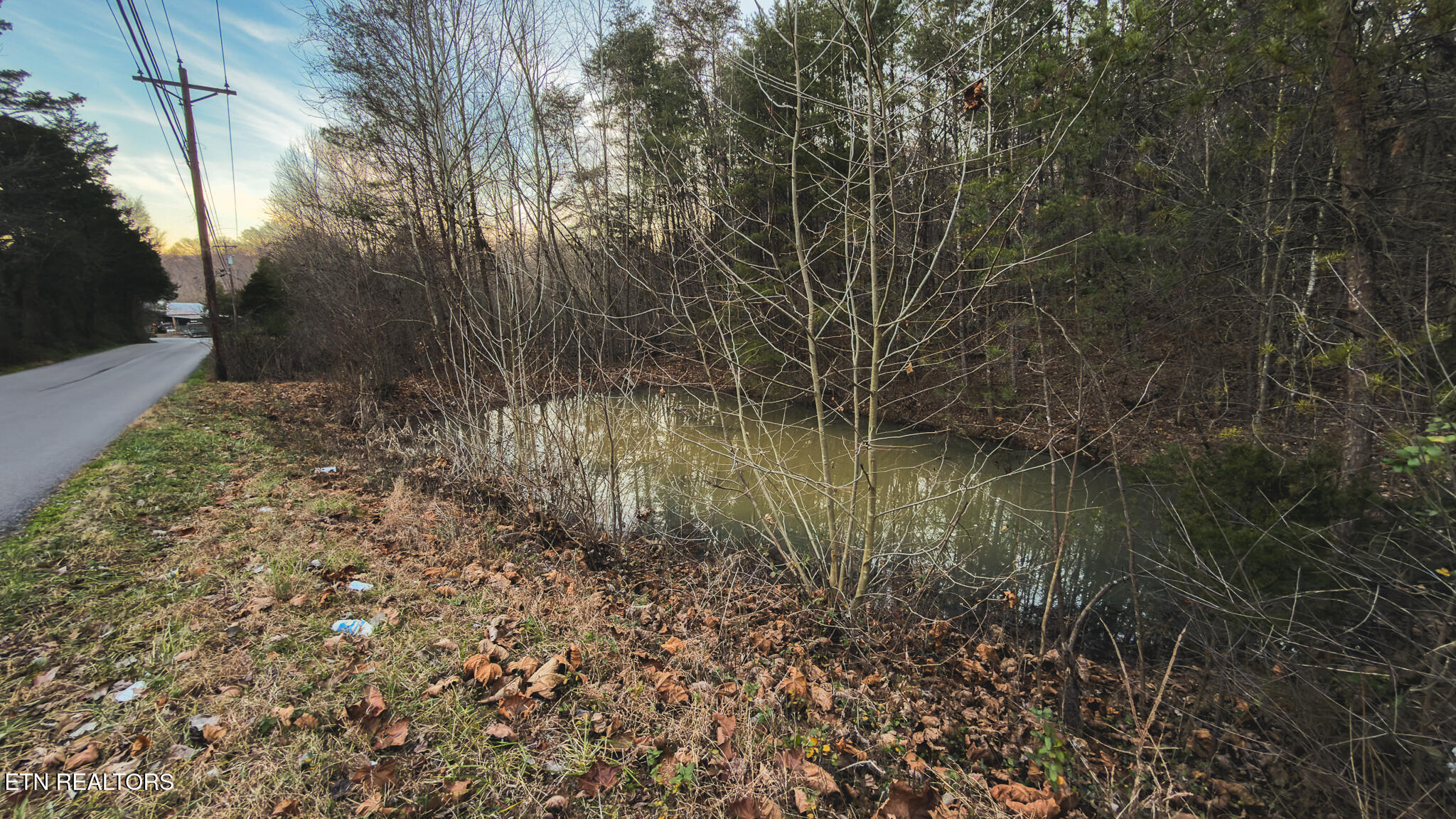 1655 Lester Whitt Road Rutledge TN 37861
