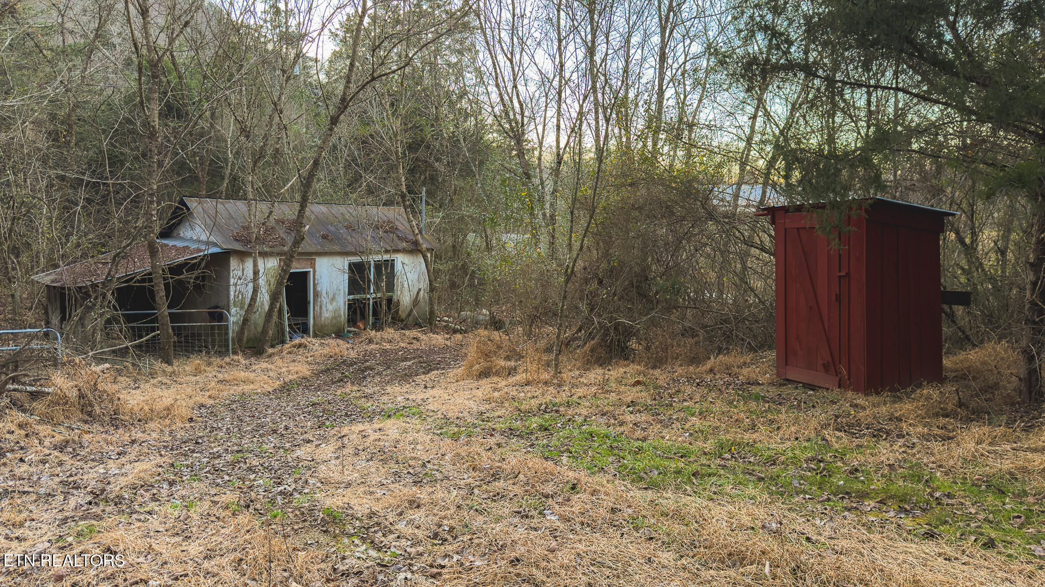 1655 Lester Whitt Road Rutledge TN 37861