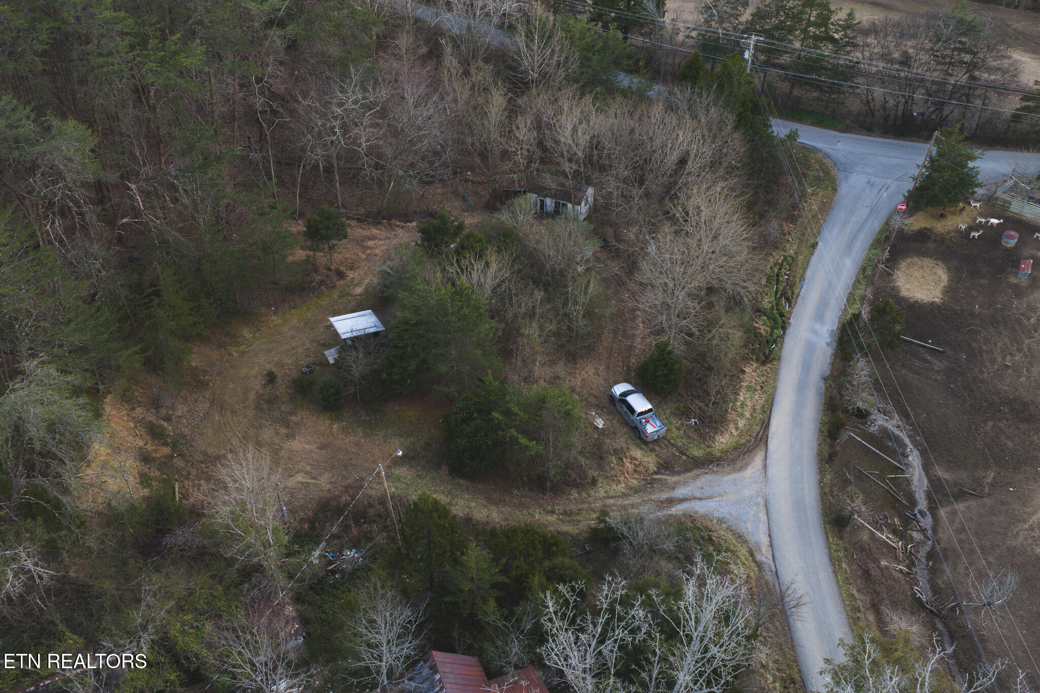 1655 Lester Whitt Road Rutledge TN 37861
