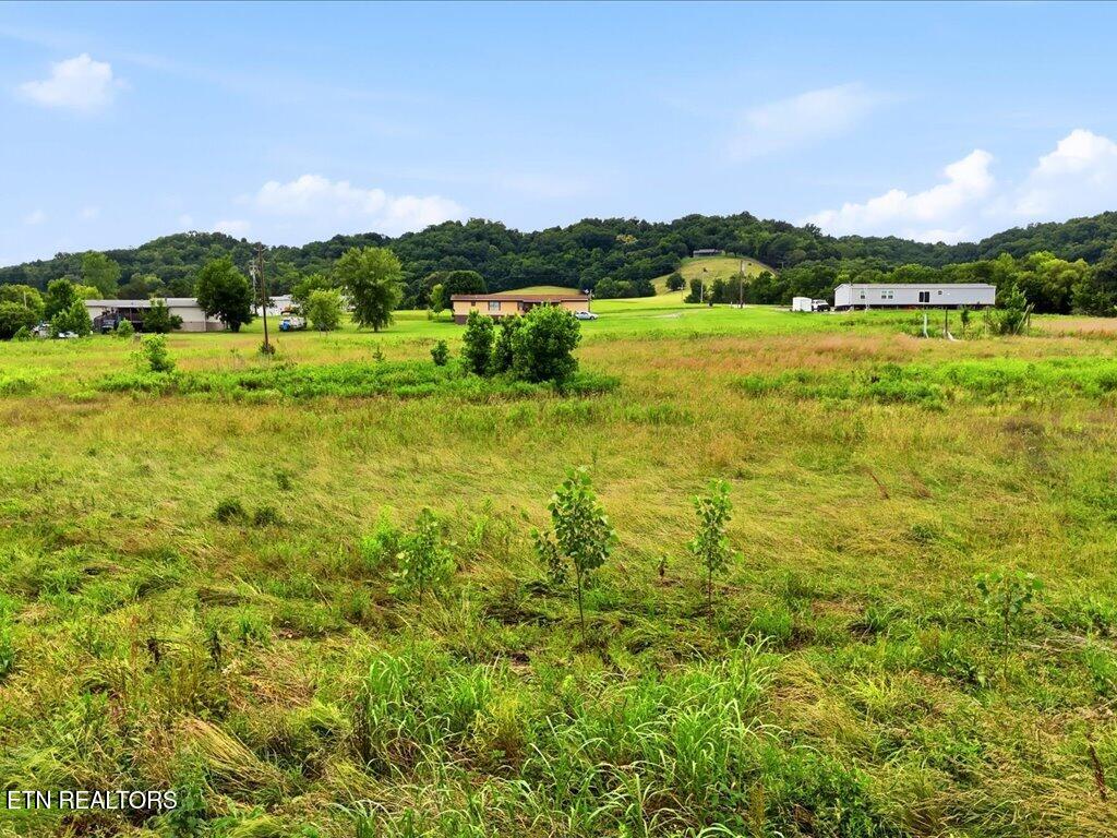 0 Appian Road Bybee TN 37713