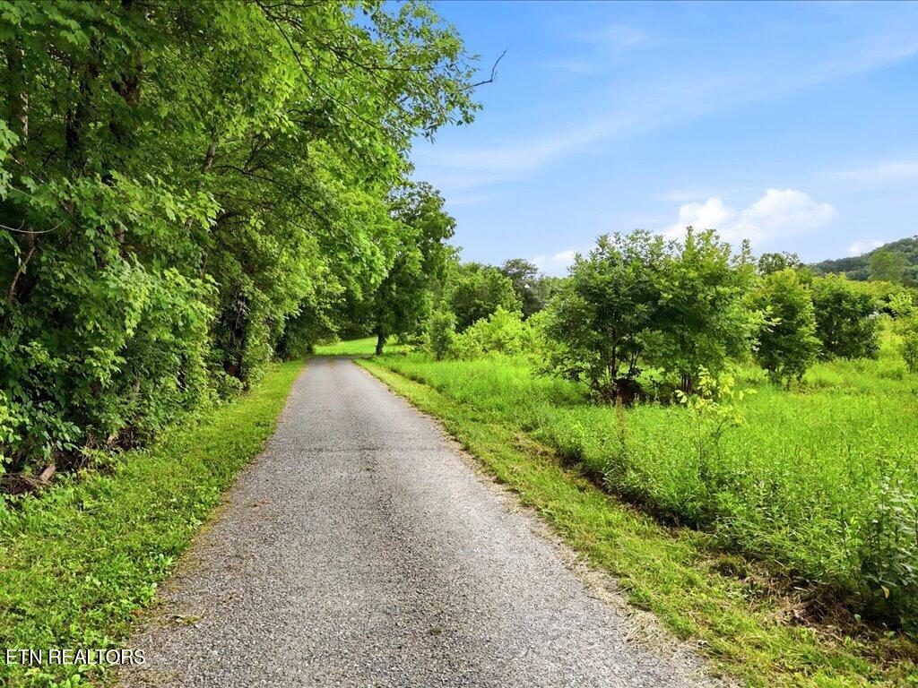 0 Appian Road Bybee TN 37713