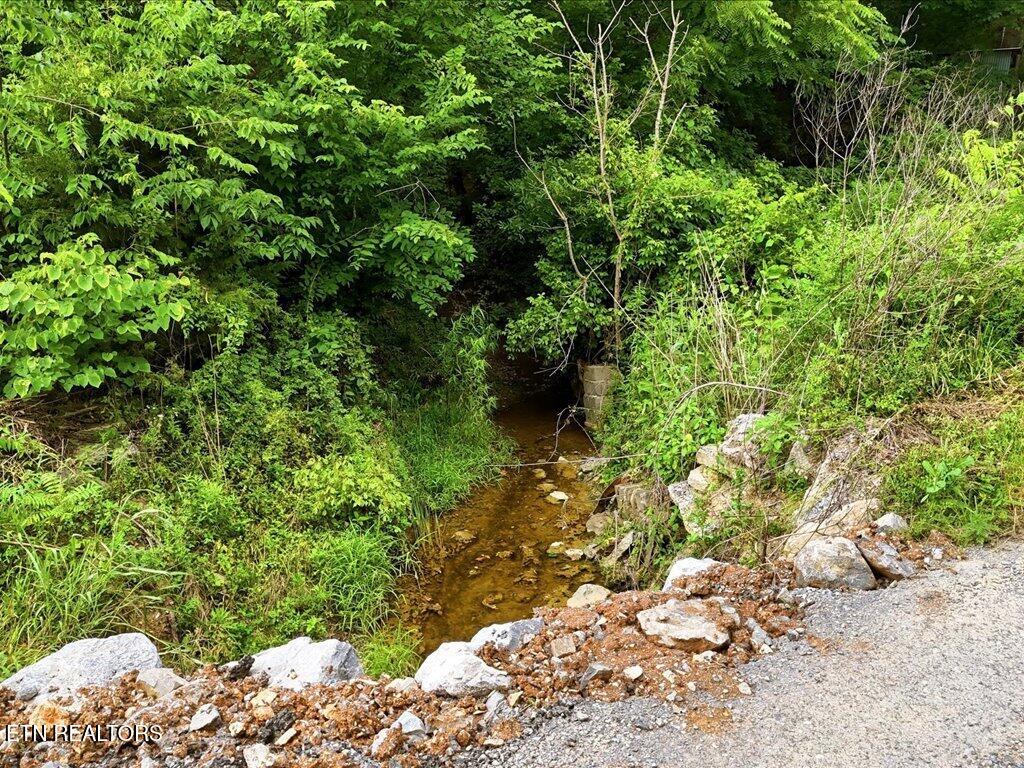 0 Appian Road Bybee TN 37713