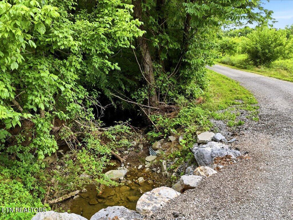 0 Appian Road Bybee TN 37713