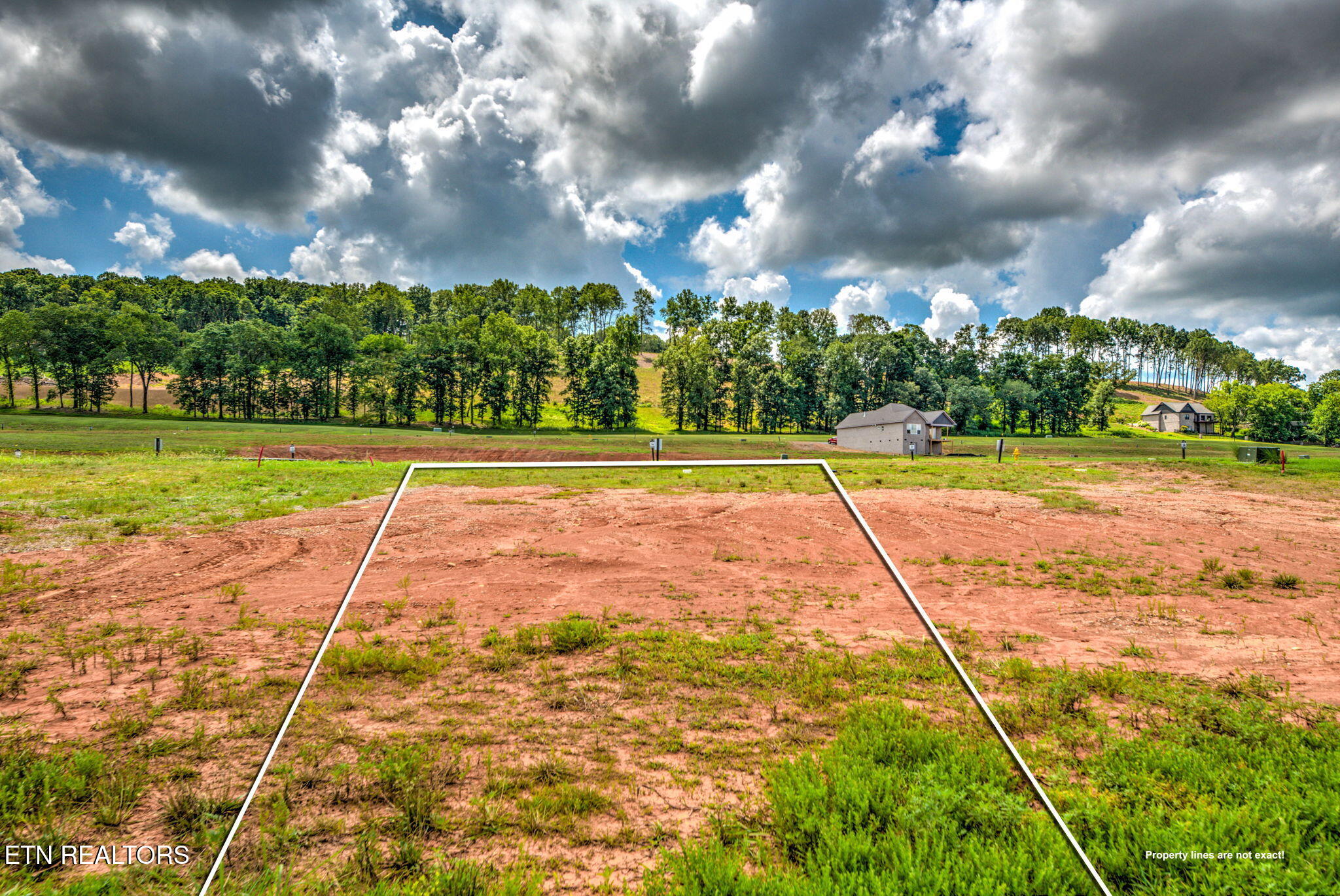 695 Black Bear Circle Loudon TN 37774