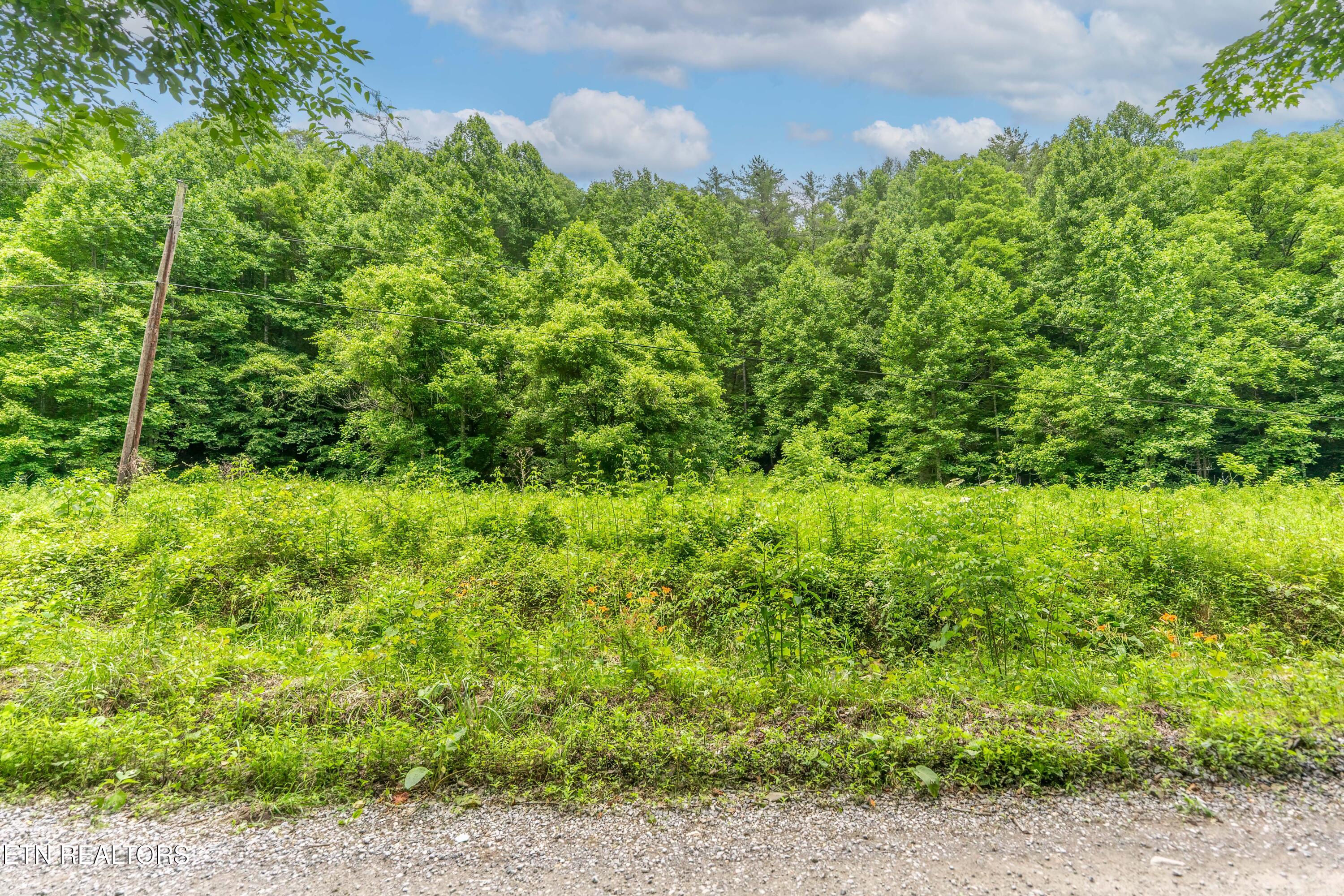 Johns Creek Road Del Rio TN 37727