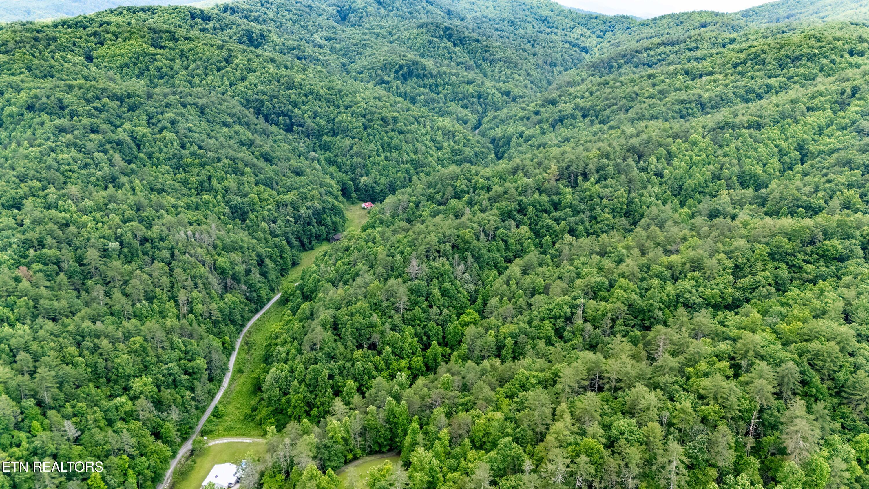 Johns Creek Road Del Rio TN 37727