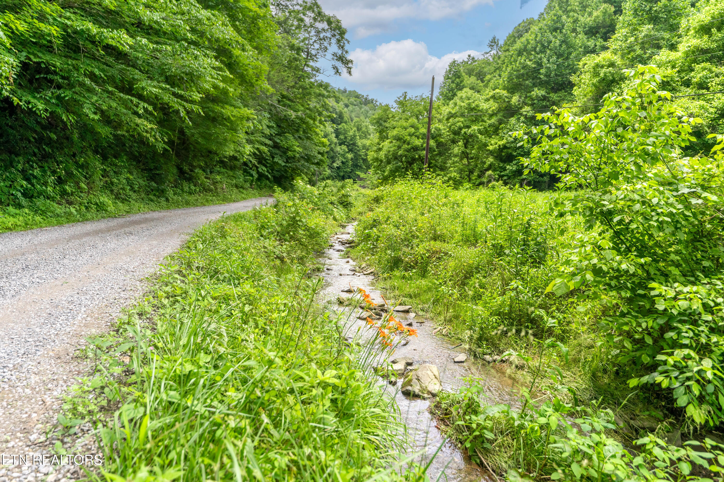 Johns Creek Road Del Rio TN 37727