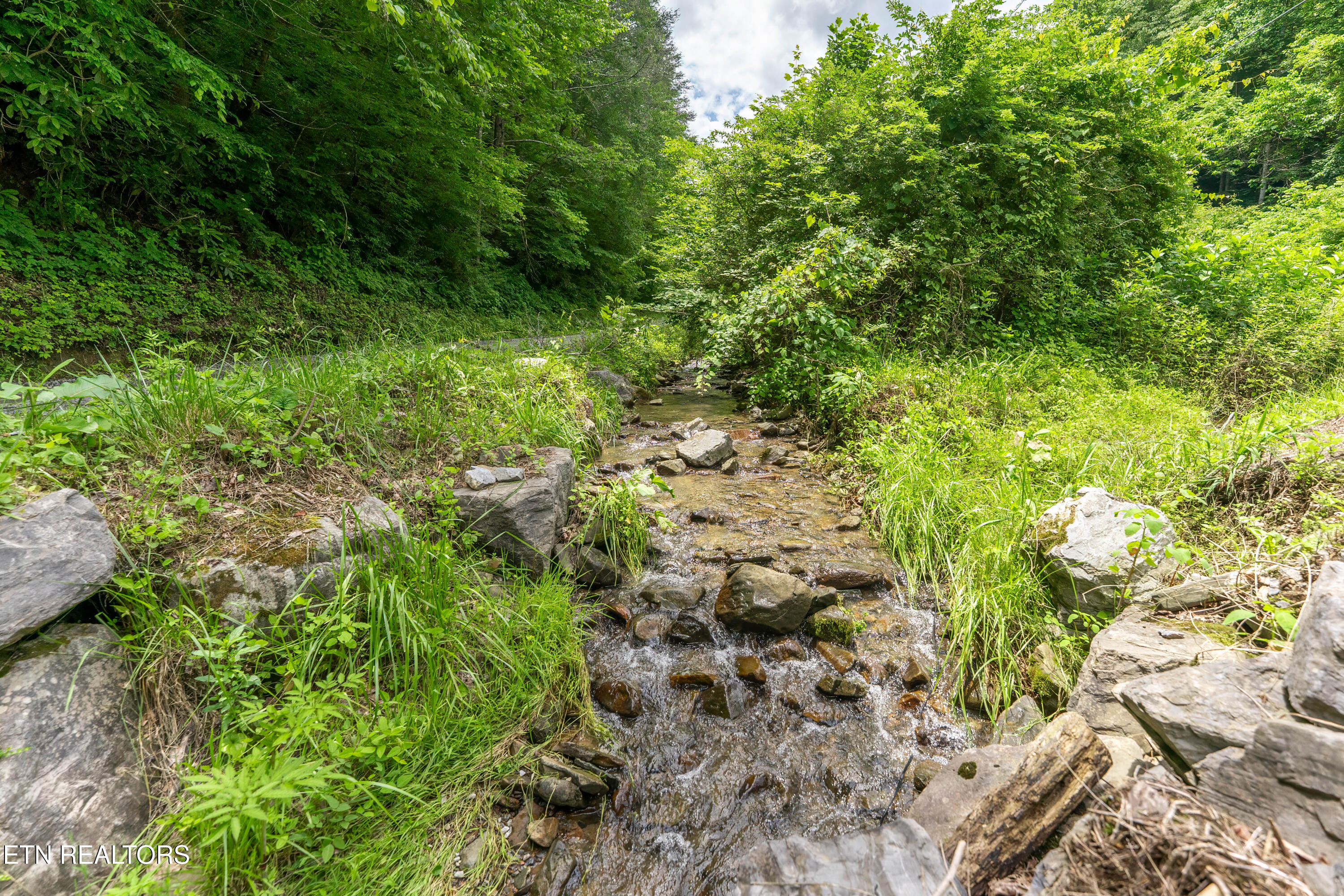 Johns Creek Road Del Rio TN 37727