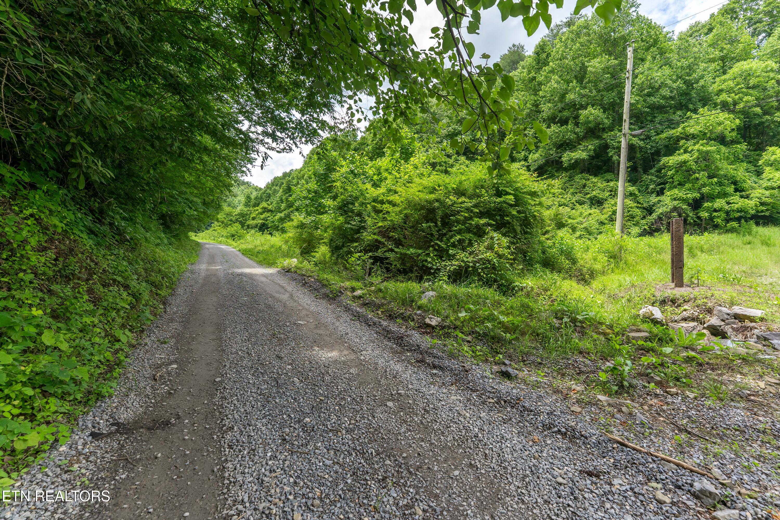 Johns Creek Road Del Rio TN 37727