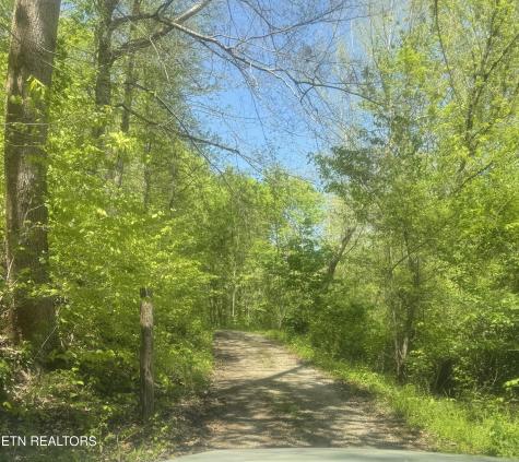 Anna Lane Clairfield TN 37715