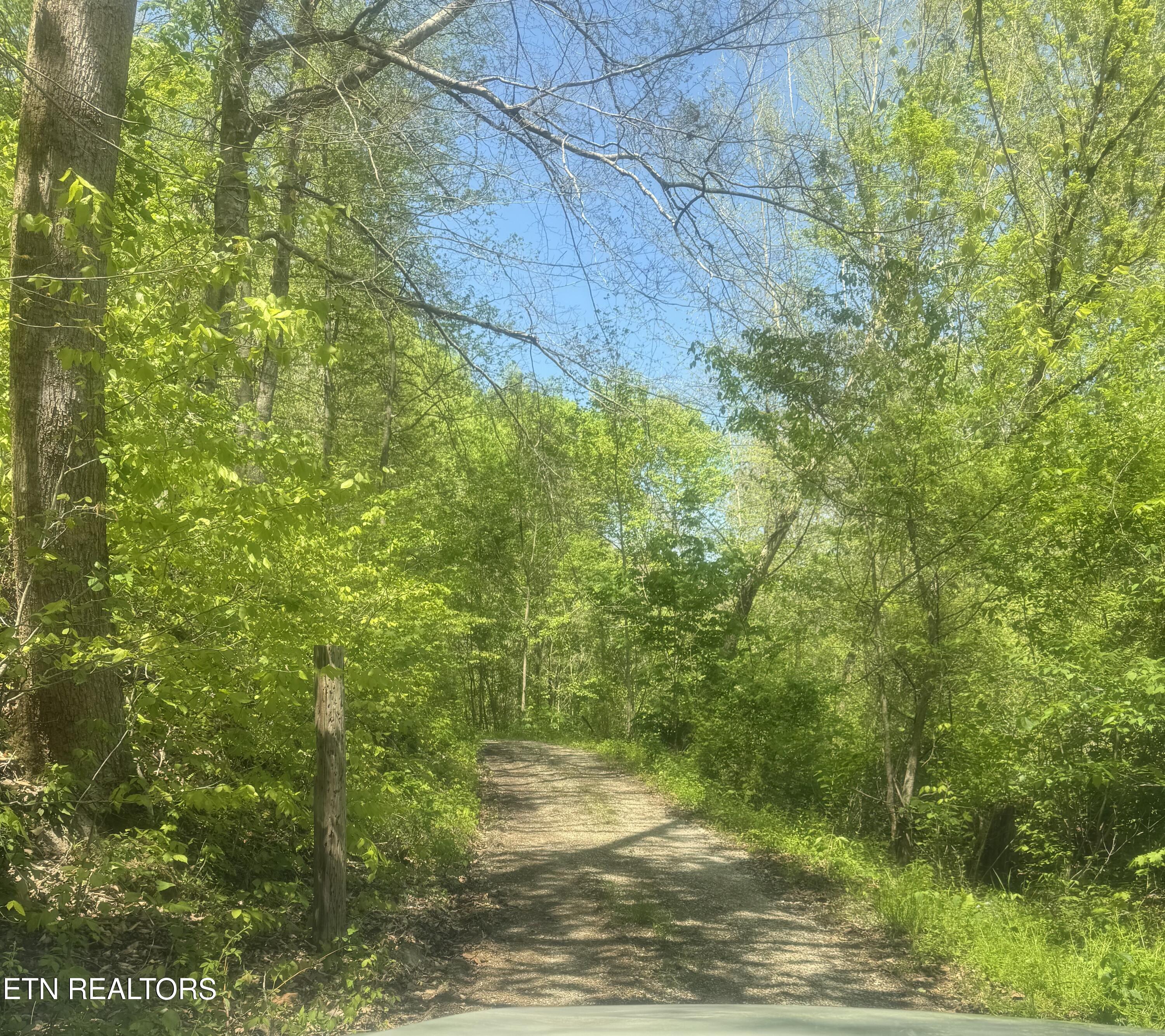Anna Lane Clairfield TN 37715