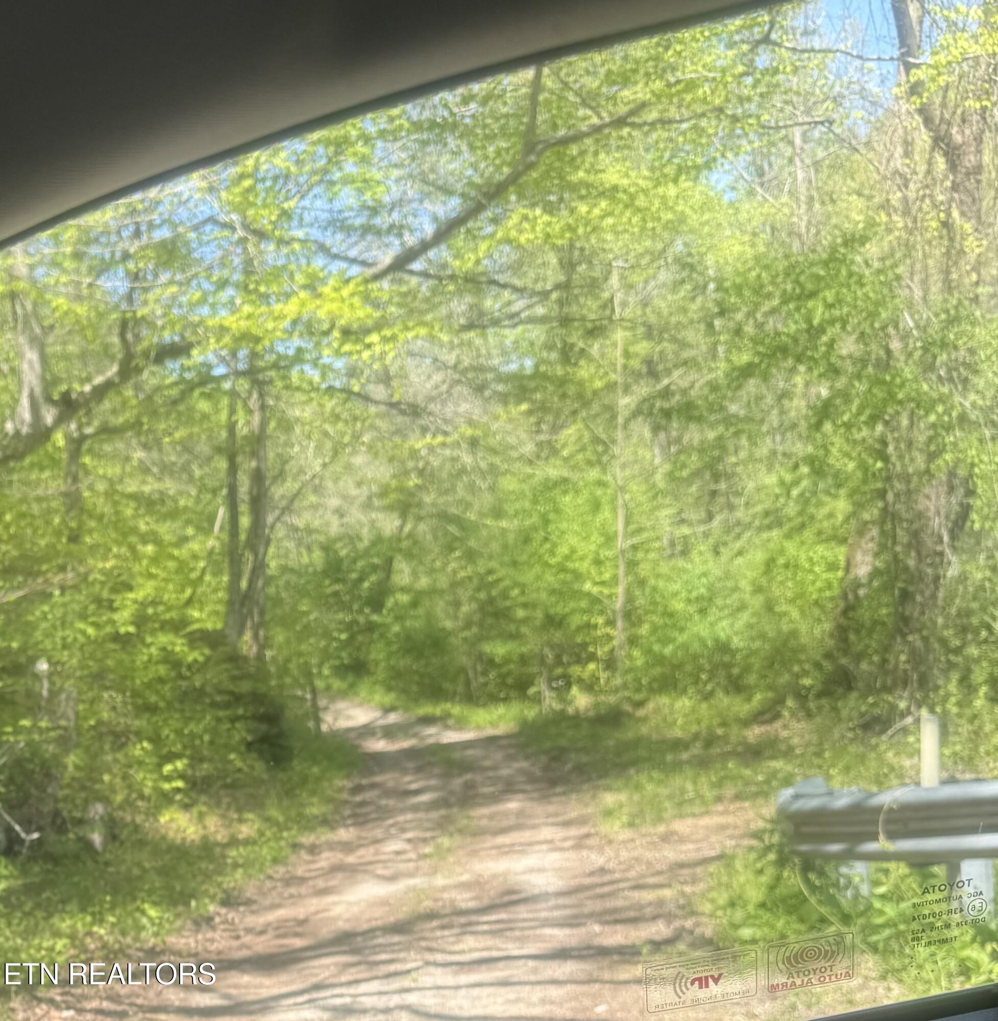 Anna Lane Clairfield TN 37715