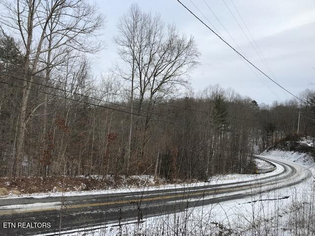 080 015.00 Buffalo Road Oneida TN 37841