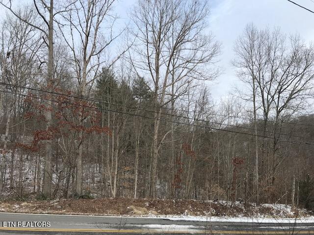 080 015.00 Buffalo Road Oneida TN 37841
