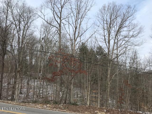 080 015.00 Buffalo Road Oneida TN 37841