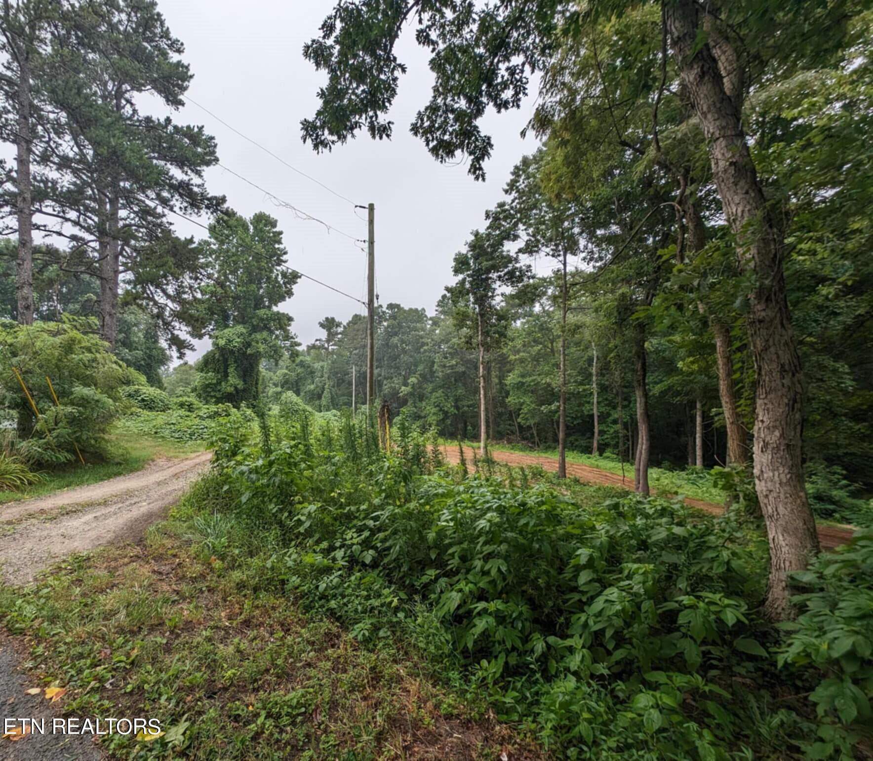 248 N Norris Street Jamestown TN 38556